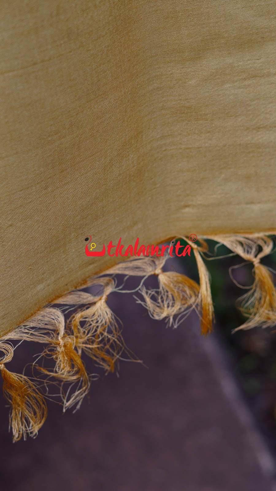 Natural Dye Coffee Flowers Honey Border Khandua Silk Saree