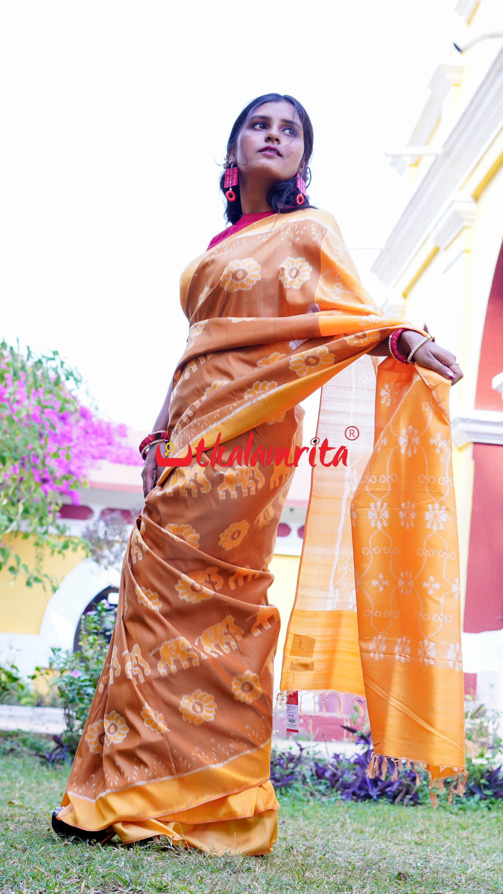 Natural Dye Brown Honey Elephant Lion Khandua Silk Saree