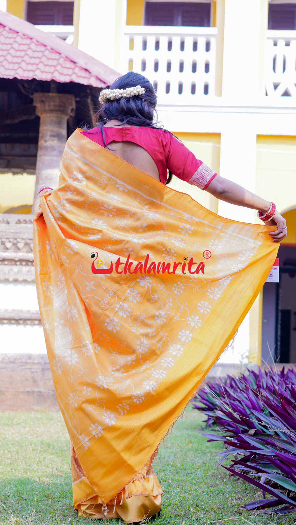 Natural Dye Brown Honey Elephant Lion Khandua Silk Saree