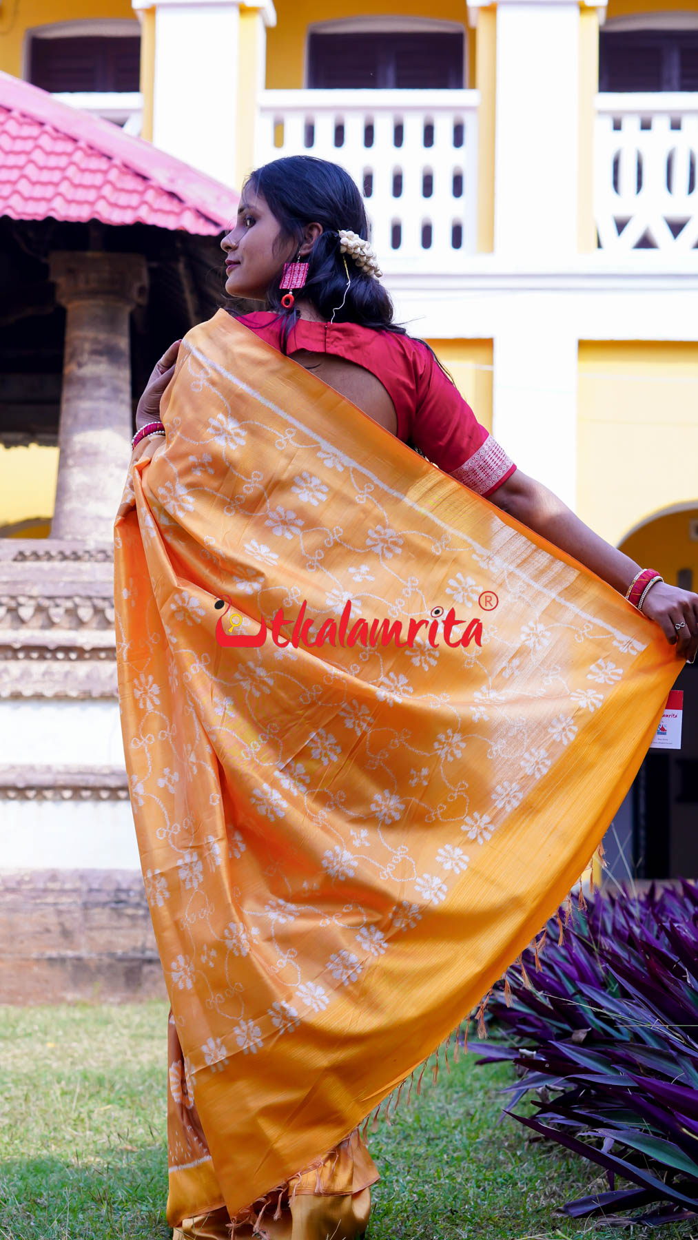 Natural Dye Brown Honey Elephant Lion Khandua Silk Saree