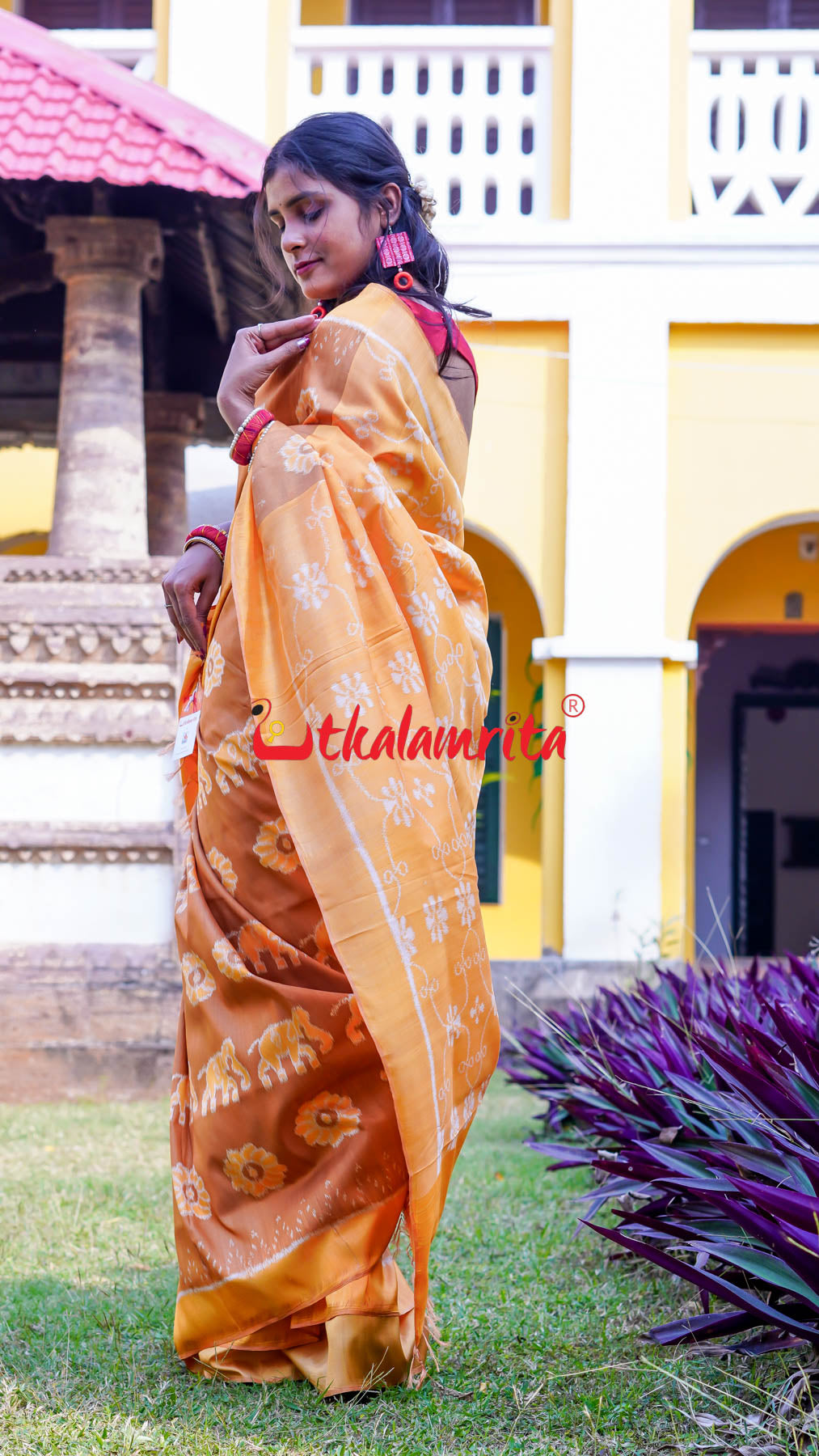 Natural Dye Brown Honey Elephant Lion Khandua Silk Saree