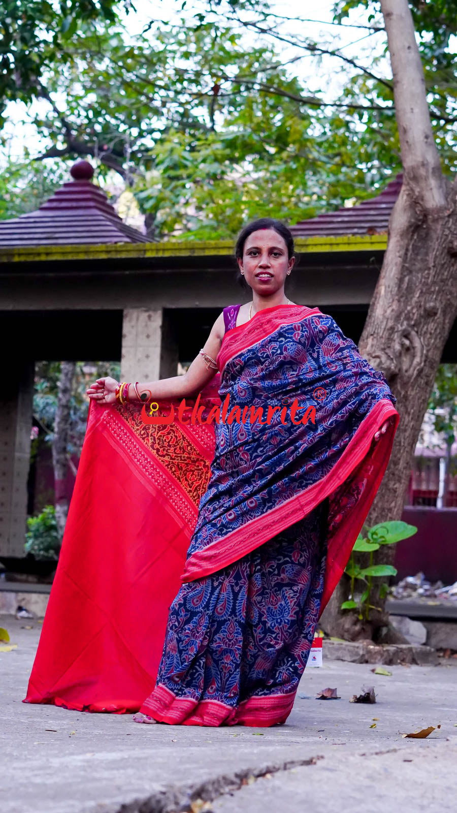 Peacocks Teal Sambalpuri Cotton Saree