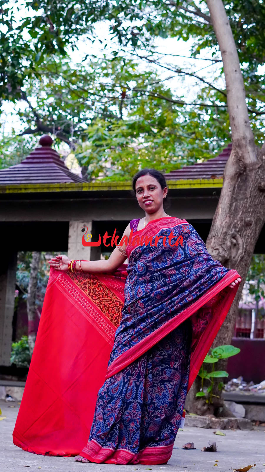 Peacocks Teal Sambalpuri Cotton Saree