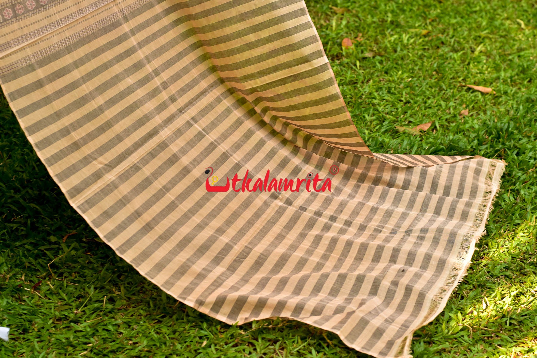 Charcoal Phoda Kumbha Sambalpuri Cotton Saree