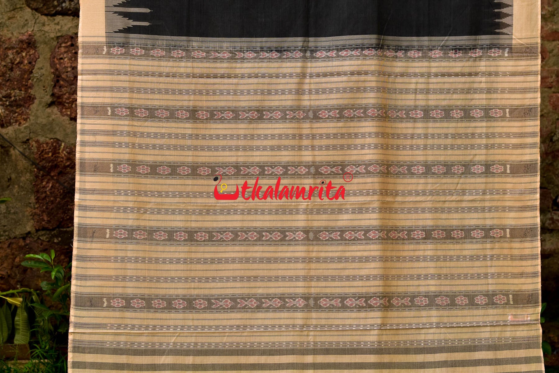 Charcoal Phoda Kumbha Sambalpuri Cotton Saree