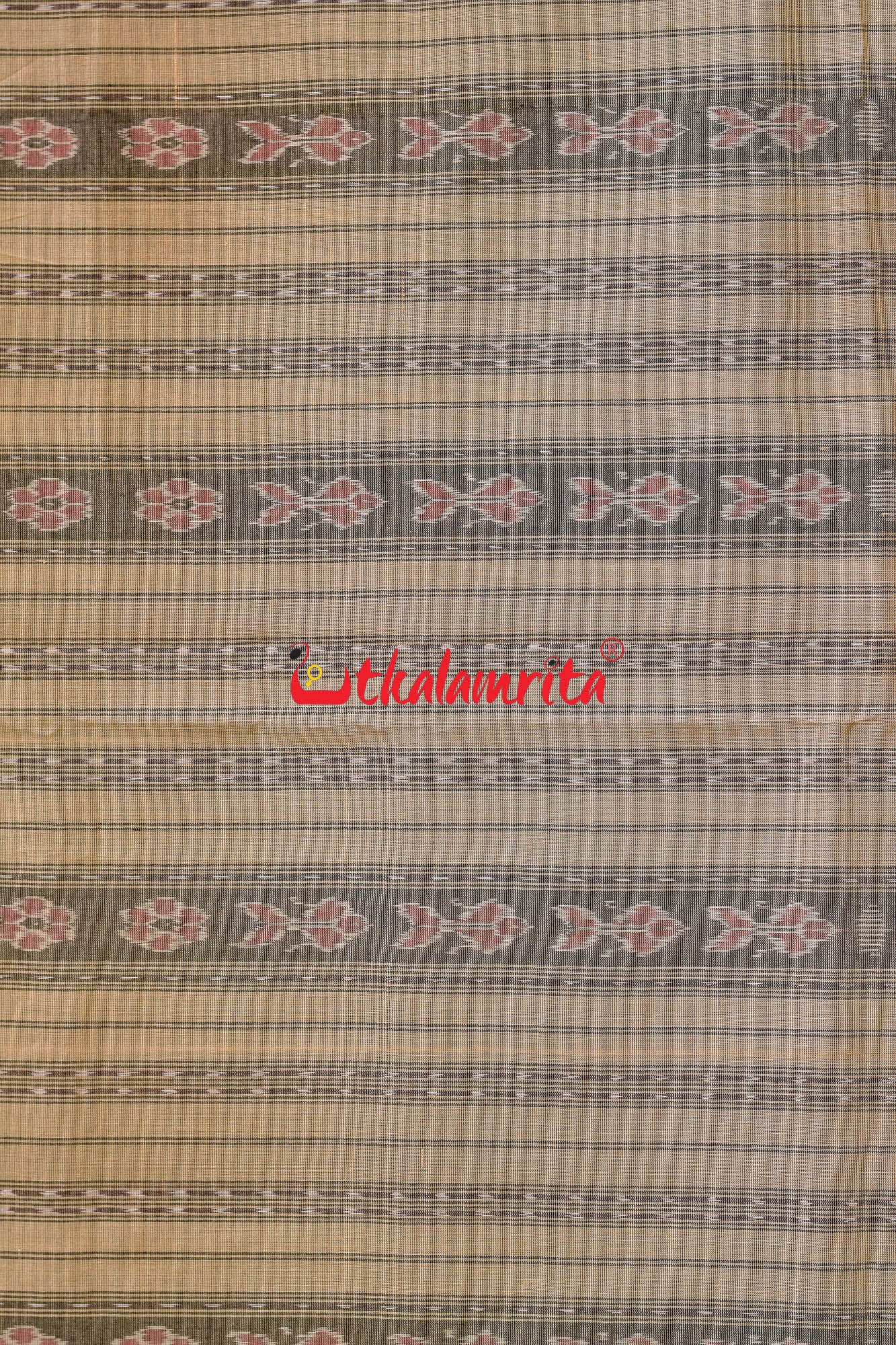 Charcoal Phoda Kumbha Sambalpuri Cotton Saree