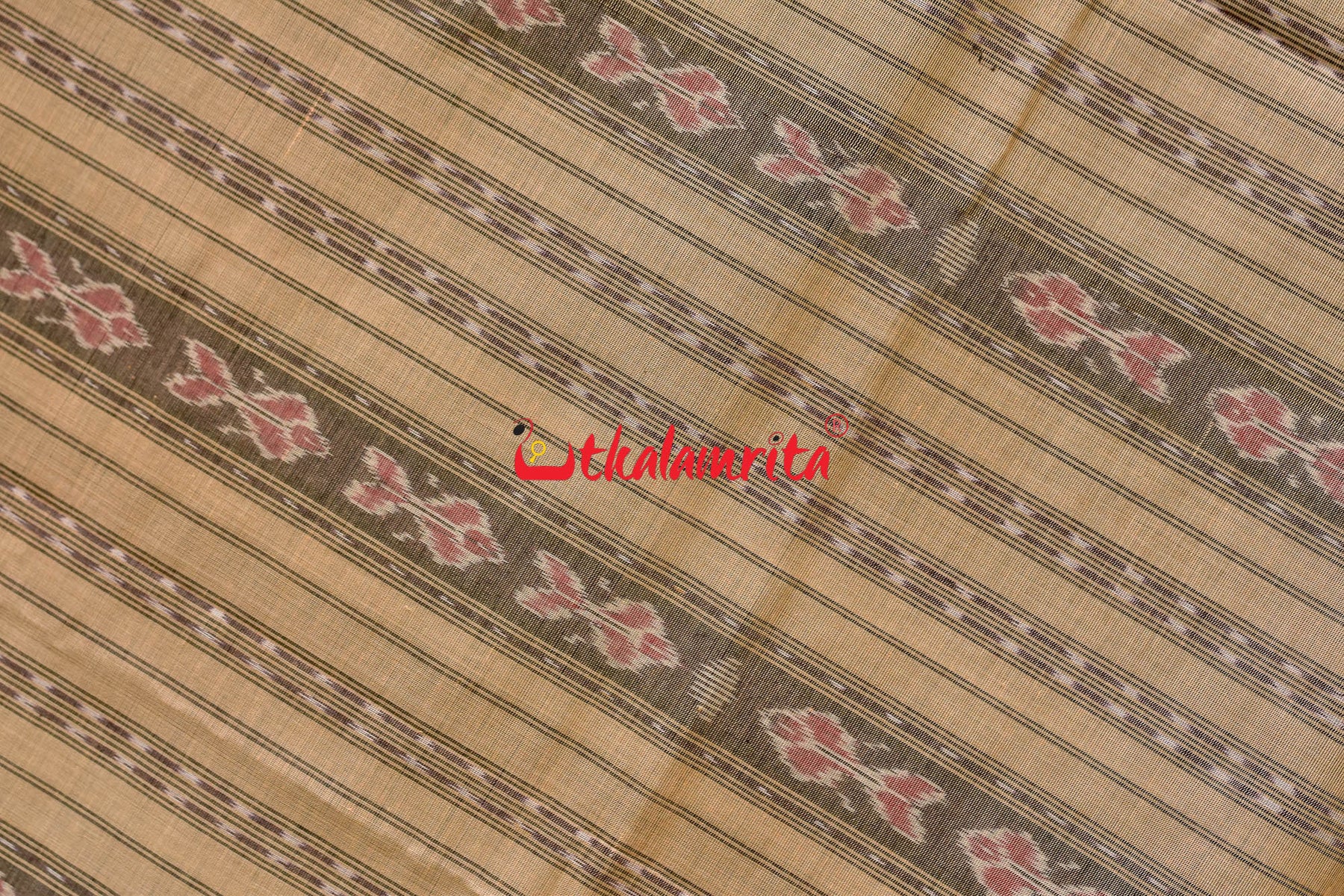 Charcoal Phoda Kumbha Sambalpuri Cotton Saree