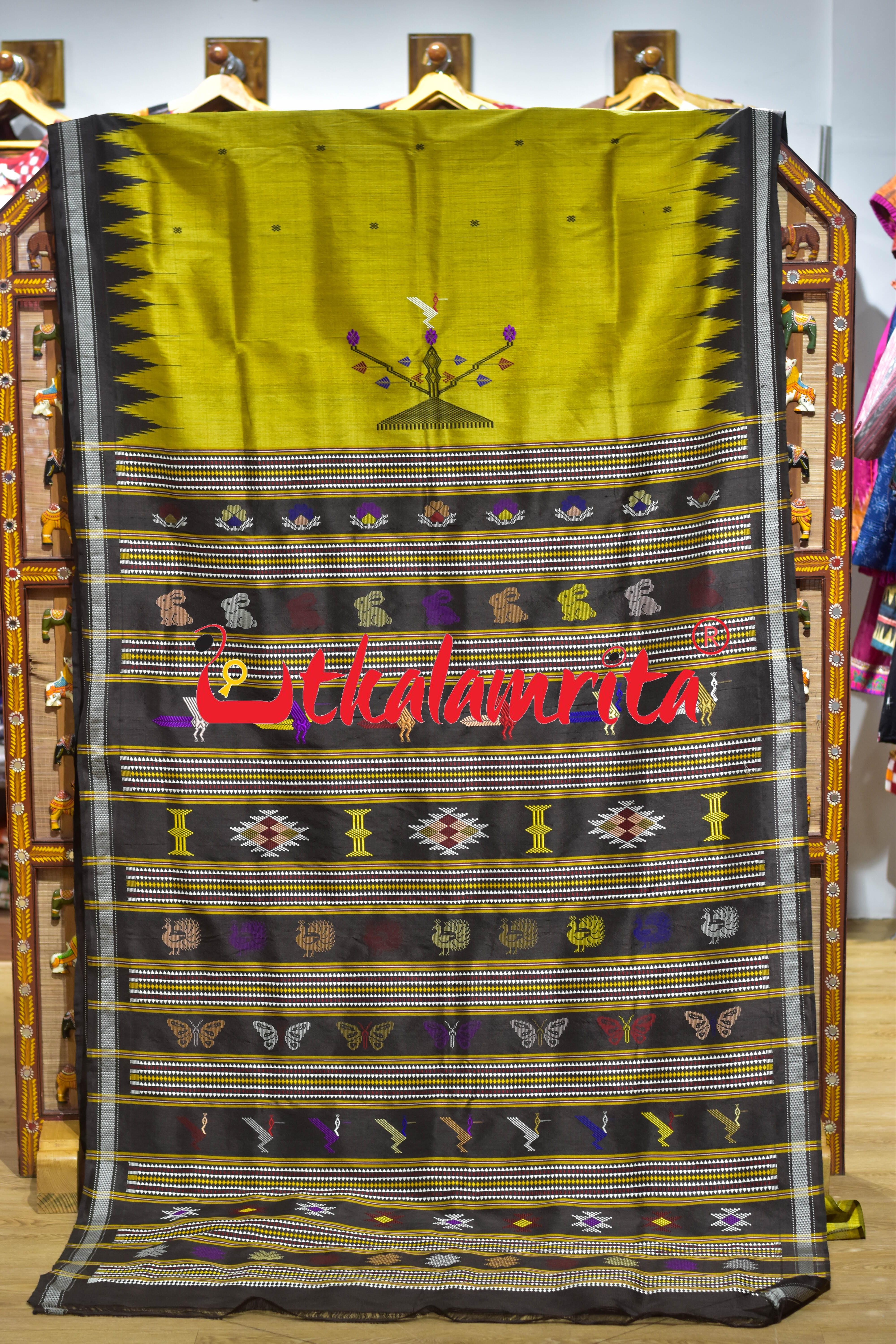 Natural Haladi with Black Border Berhampuri Silk Saree