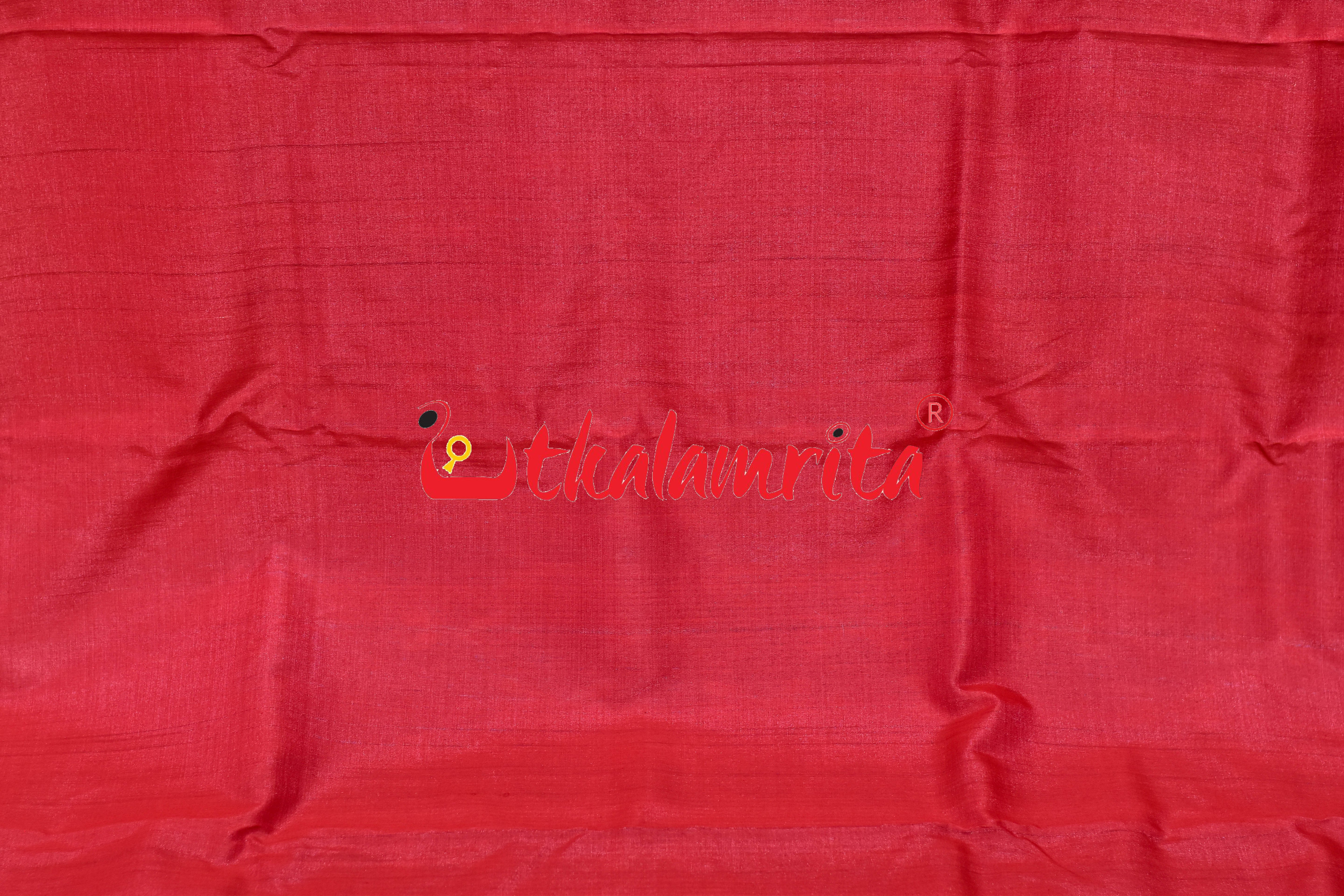 Baby Blue Red Butterfly Border Body Ikat Gopalpur Tussar Silk Saree