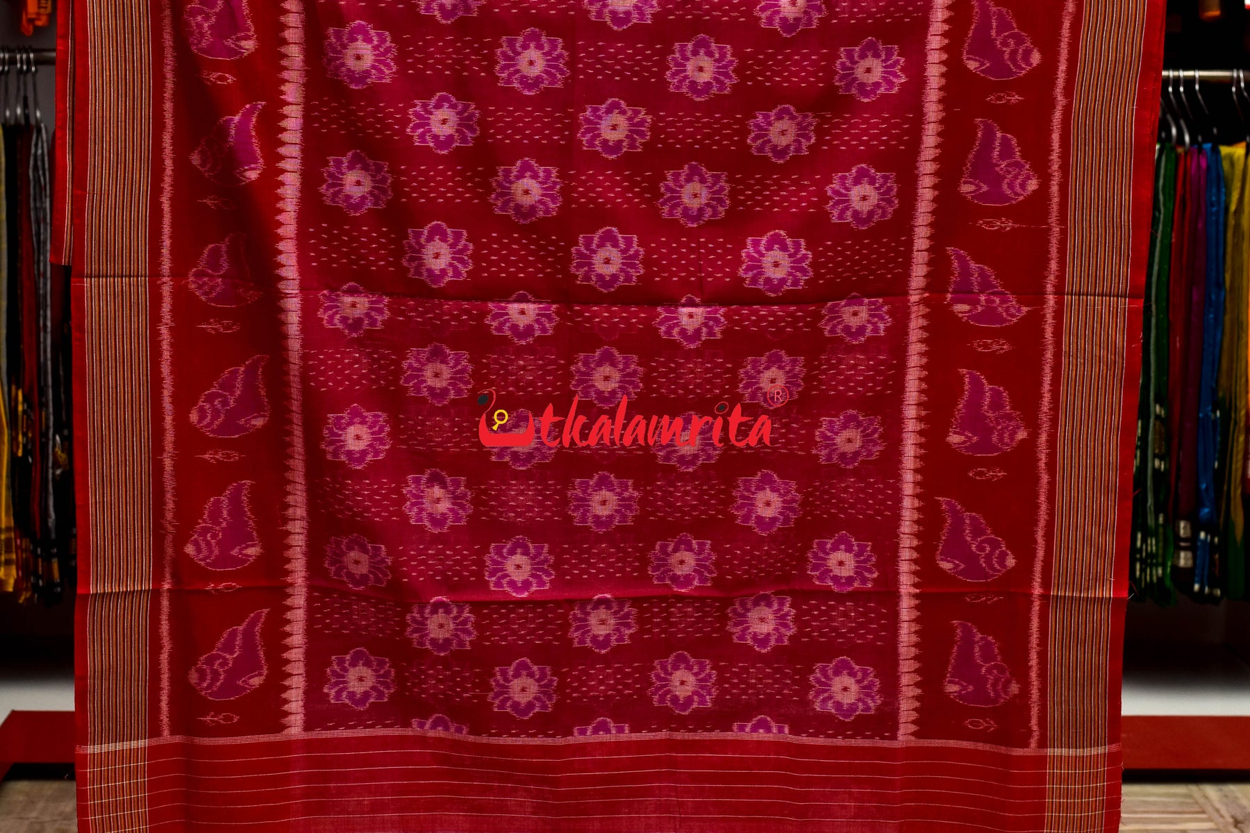 Pink Red Sankha Phula Khandua Cotton Saree