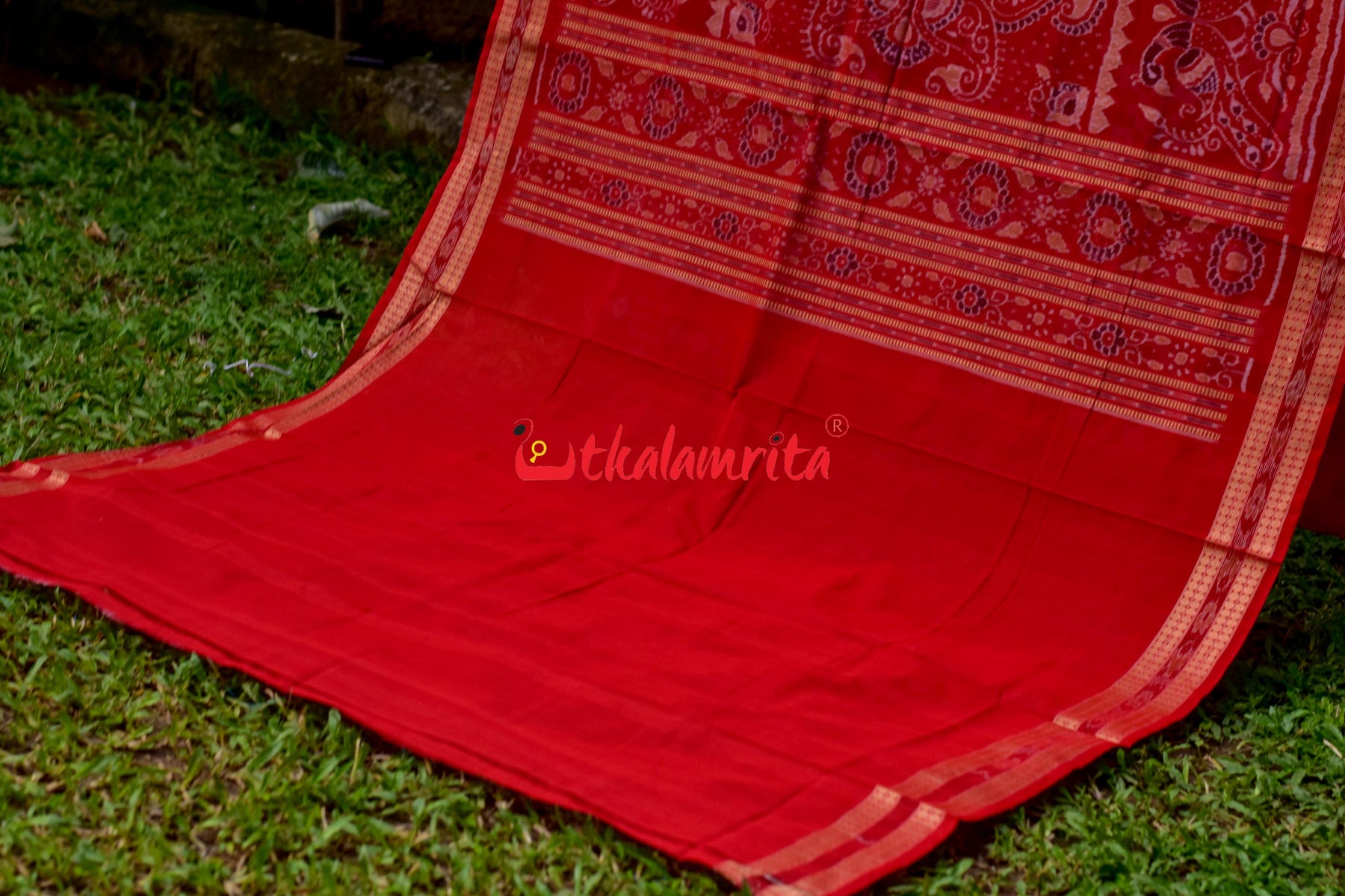 Padma Pasapali Black Red Sambalpuri Cotton Saree