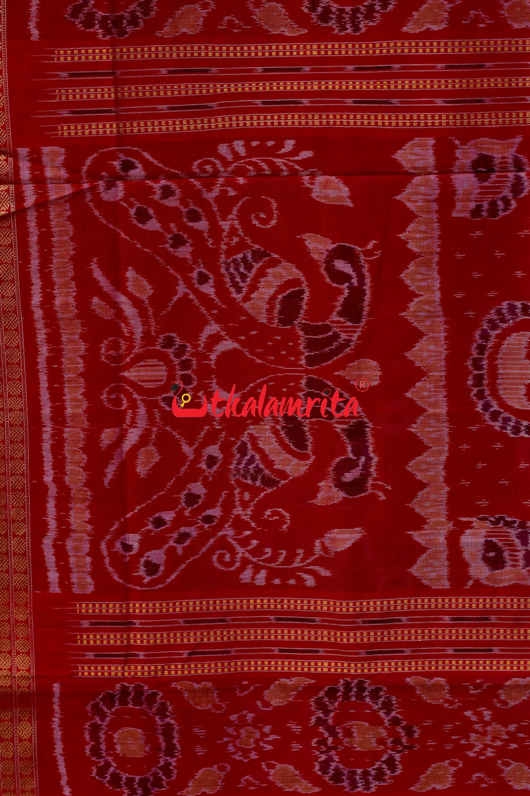Padma Pasapali Black Red Sambalpuri Cotton Saree