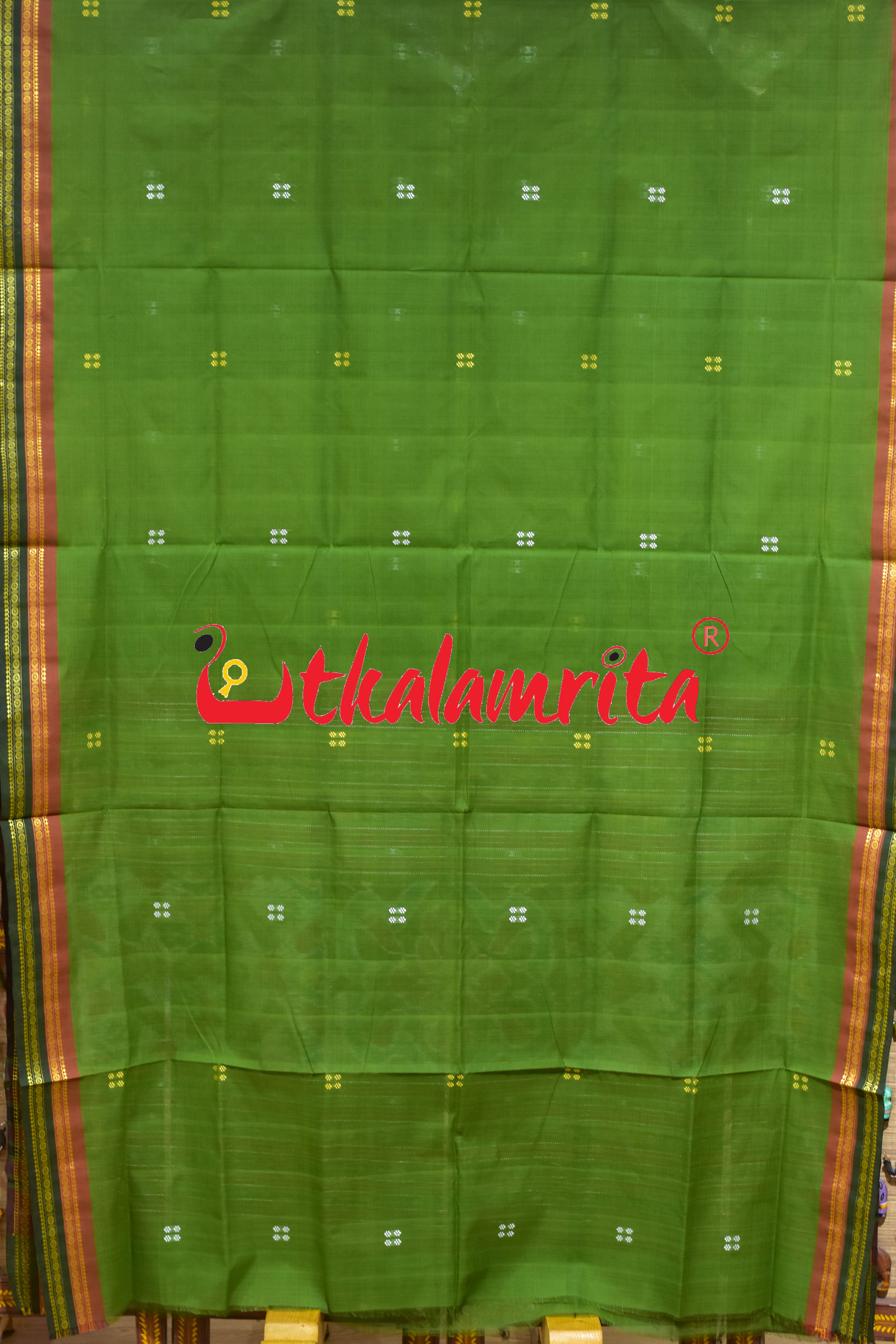 Mehndi Double Border Doby Pittala Single Cotton Saree