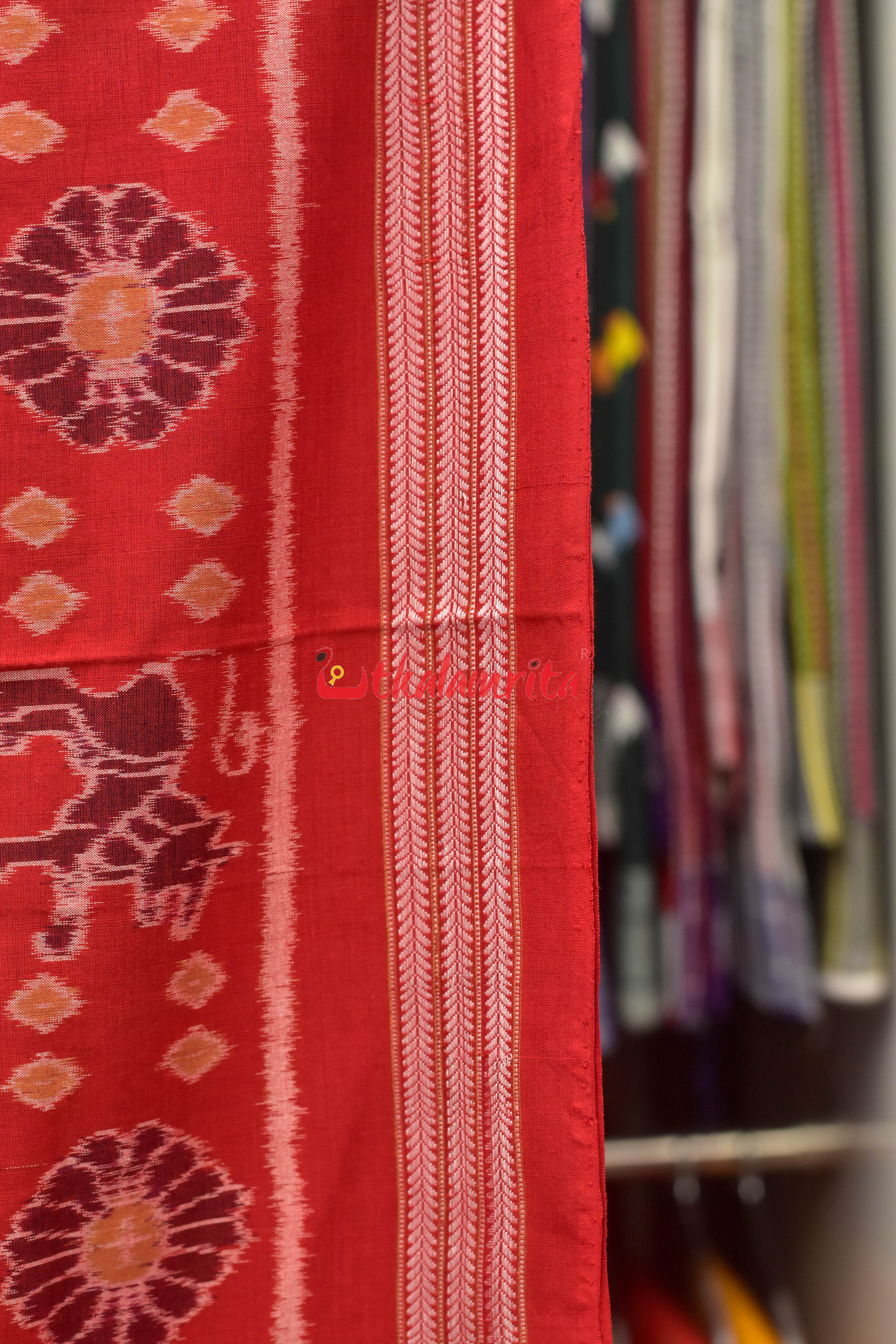 Baghambari on Black Sambalpuri Cotton Saree