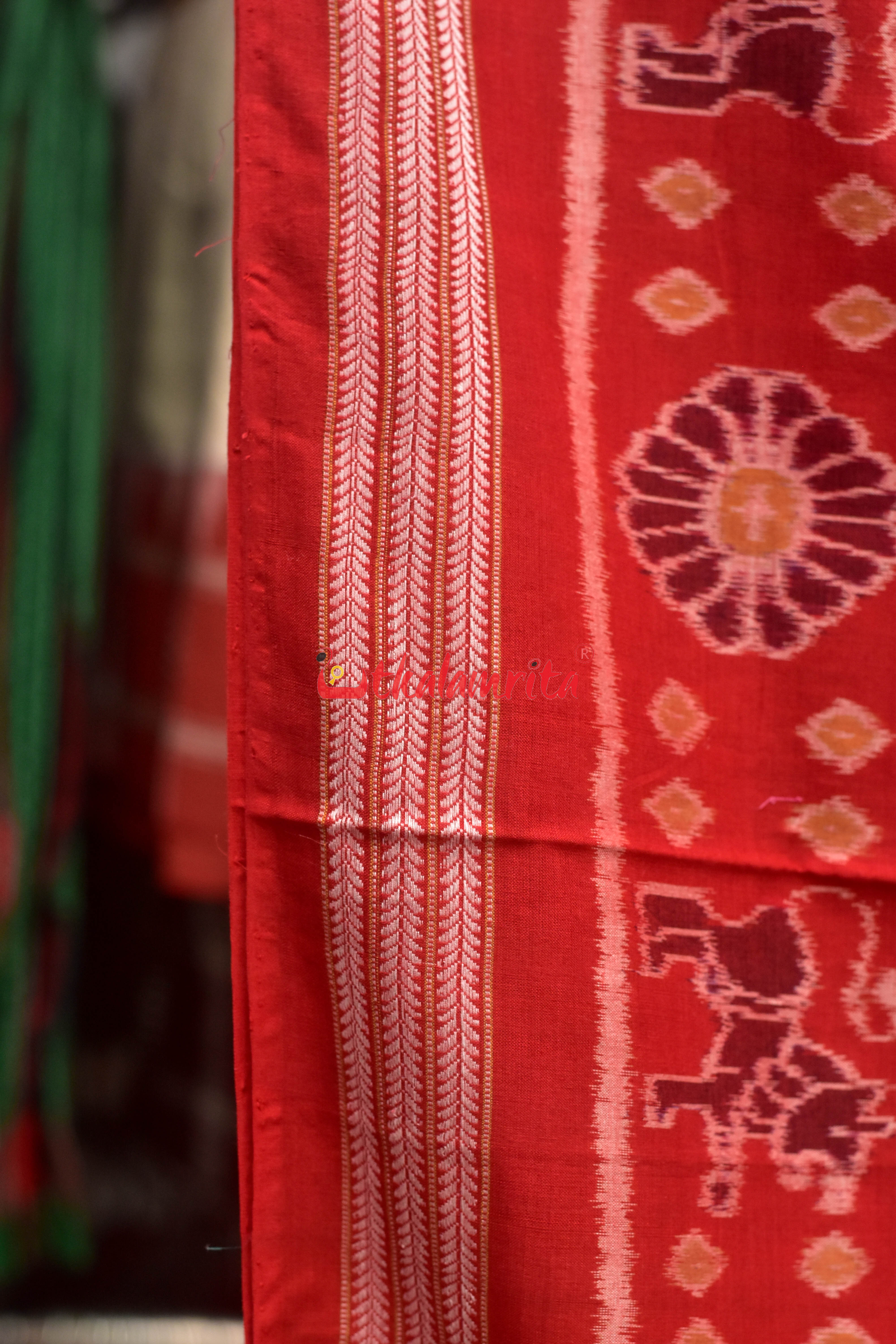 Baghambari on Black Sambalpuri Cotton Saree