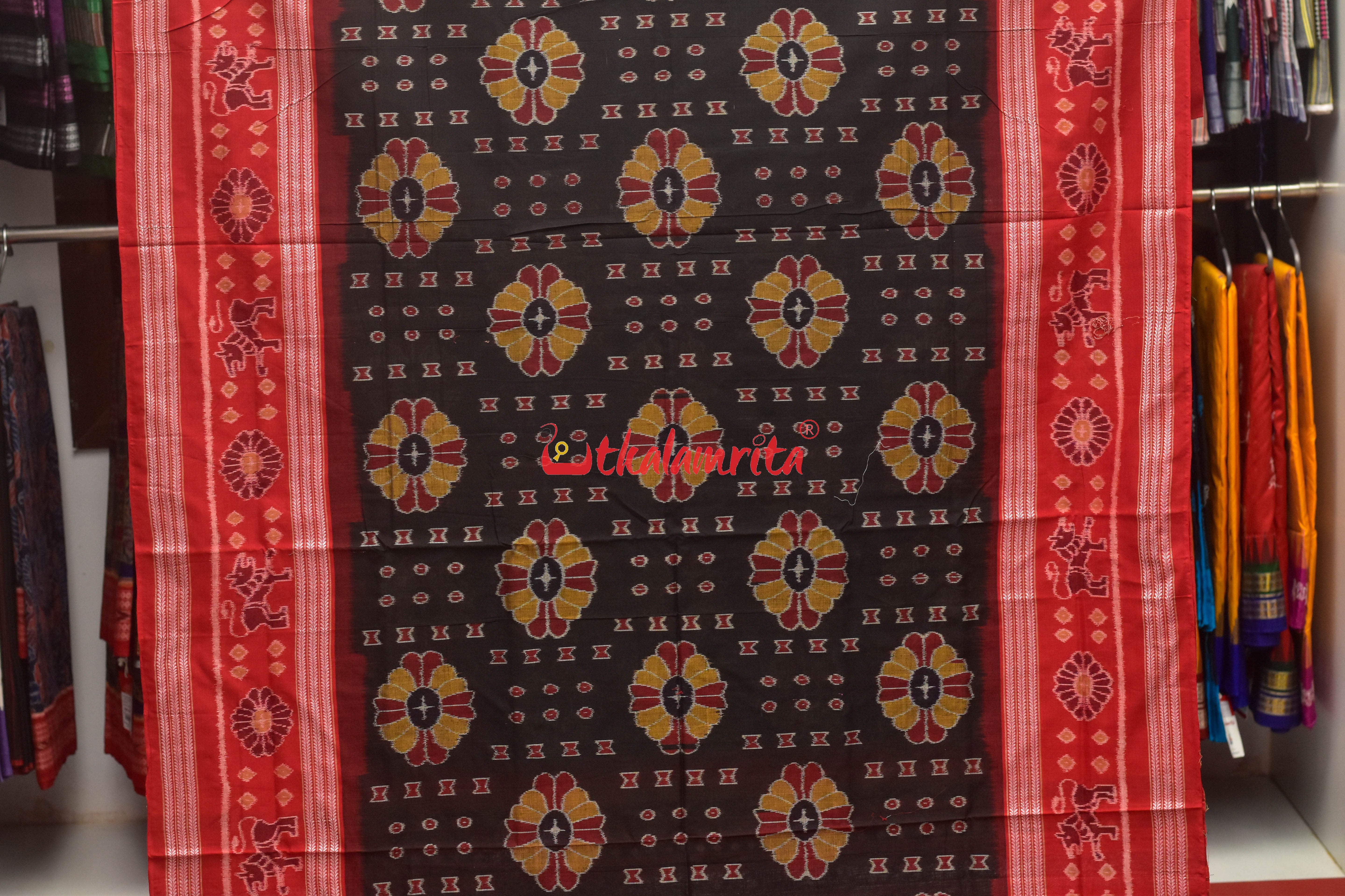 Baghambari on Black Sambalpuri Cotton Saree