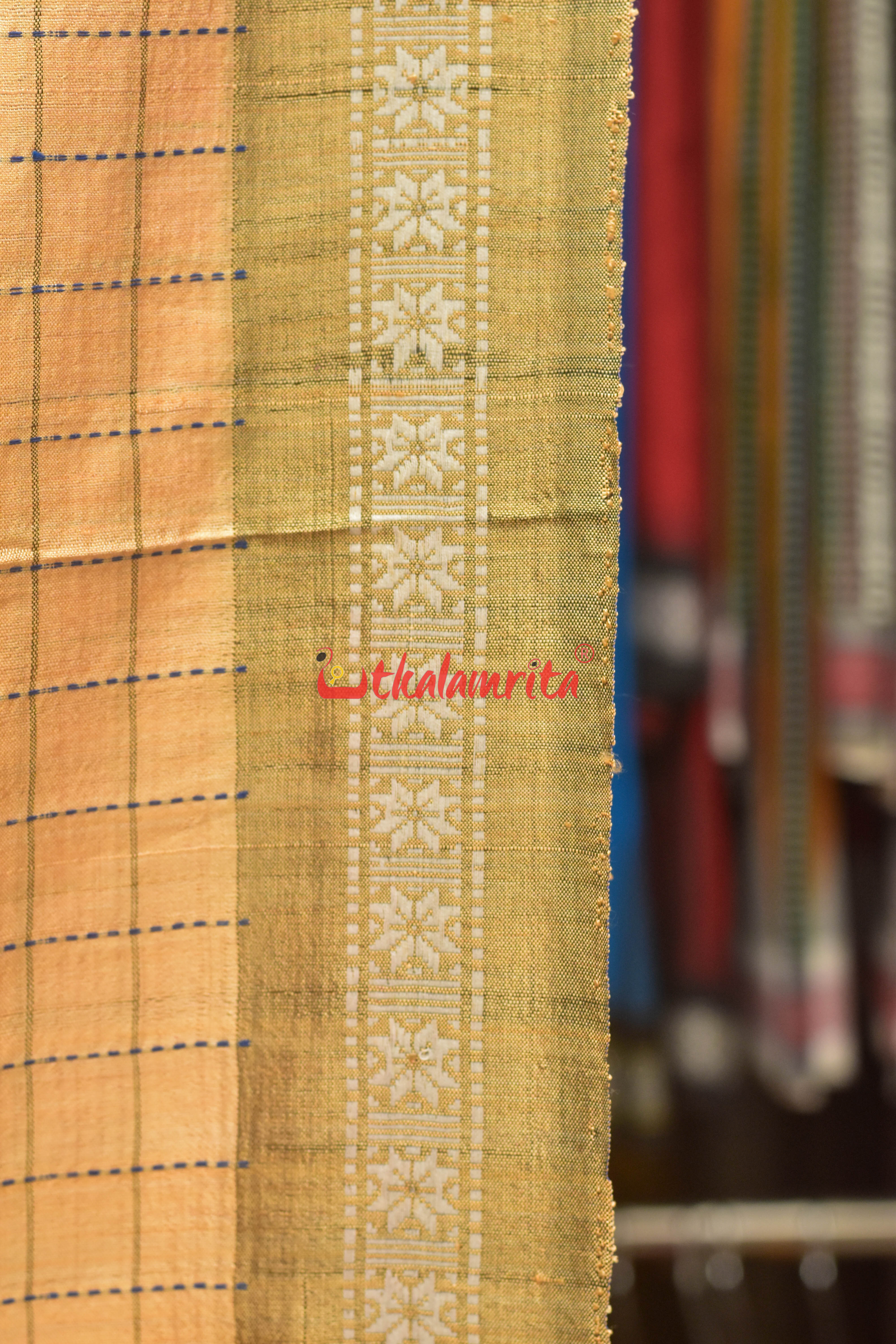 Orange Body Check And Anchal Stripes Tussar Saree