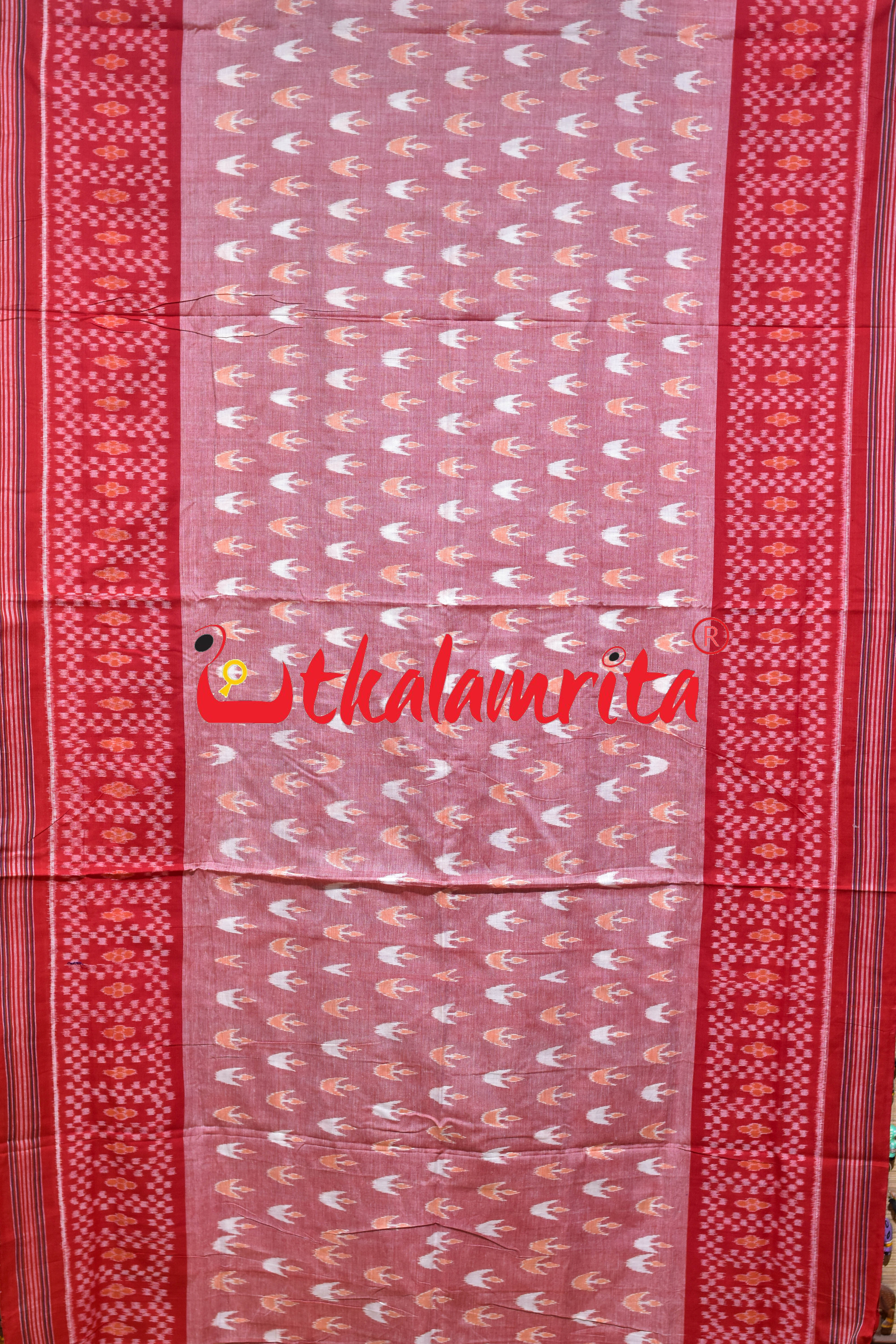 Pink Dipa Big Border Khandua Cotton Saree