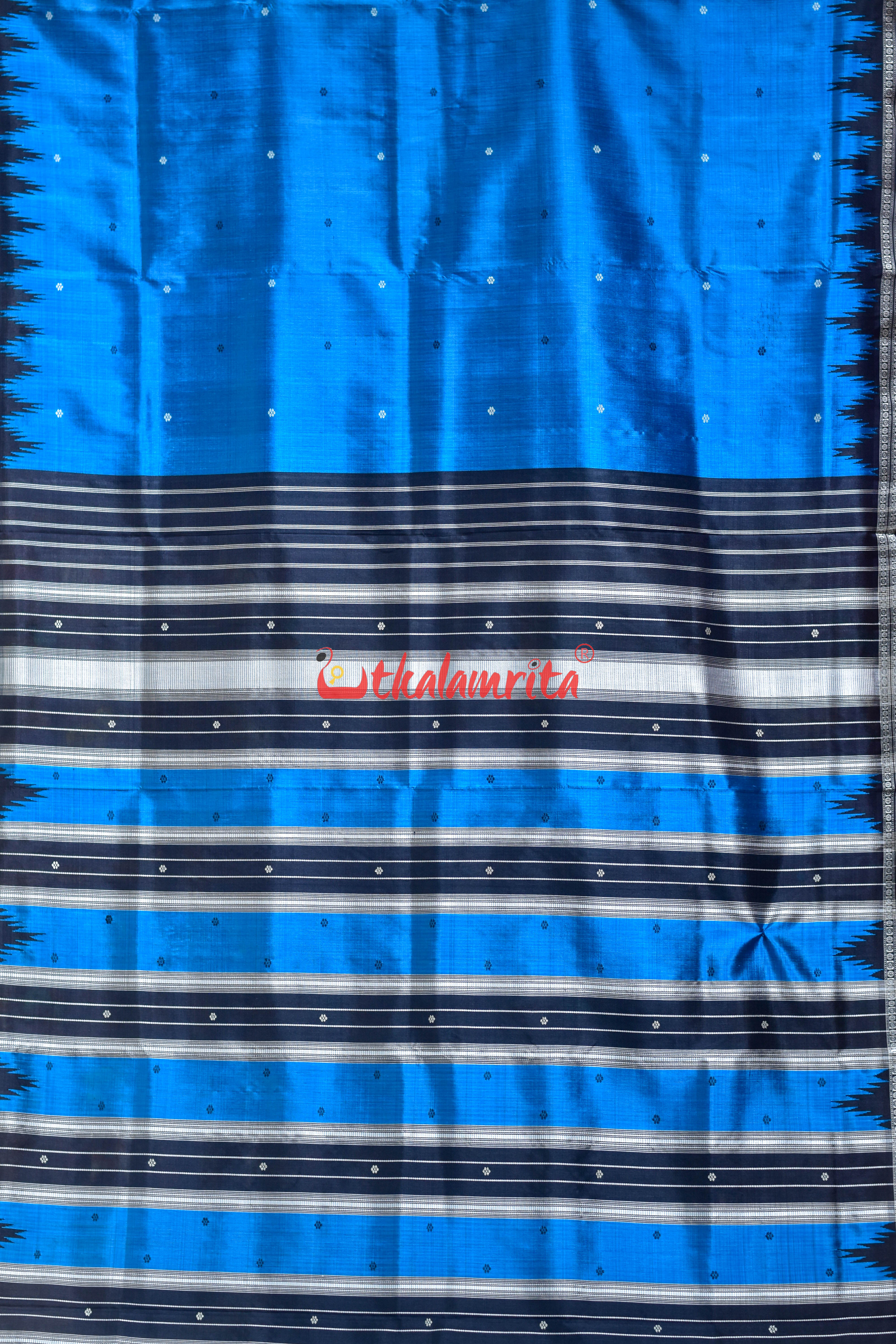 Copper Sulphate Black Double Anchal Berhampuri Silk Saree