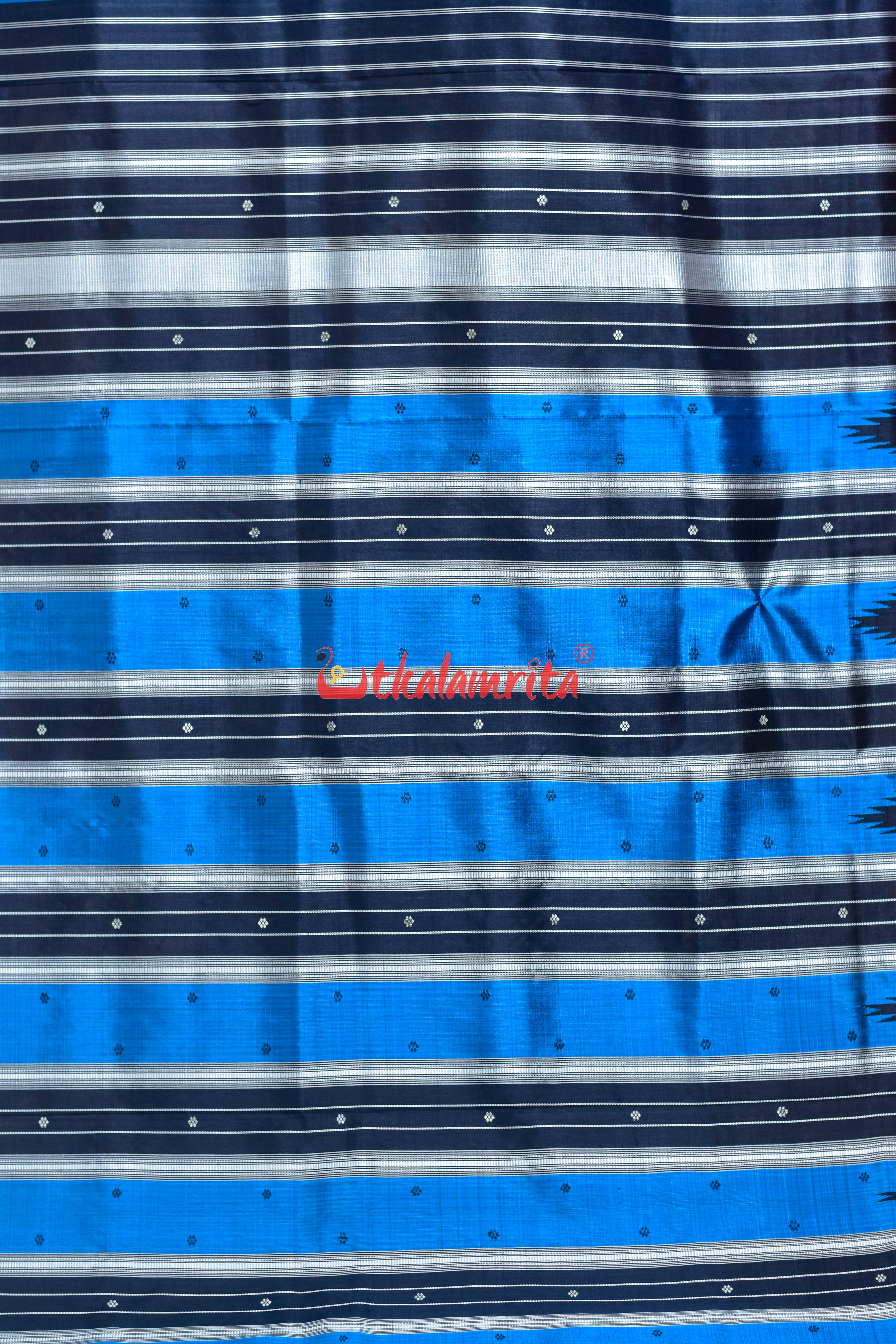 Copper Sulphate Black Double Anchal Berhampuri Silk Saree
