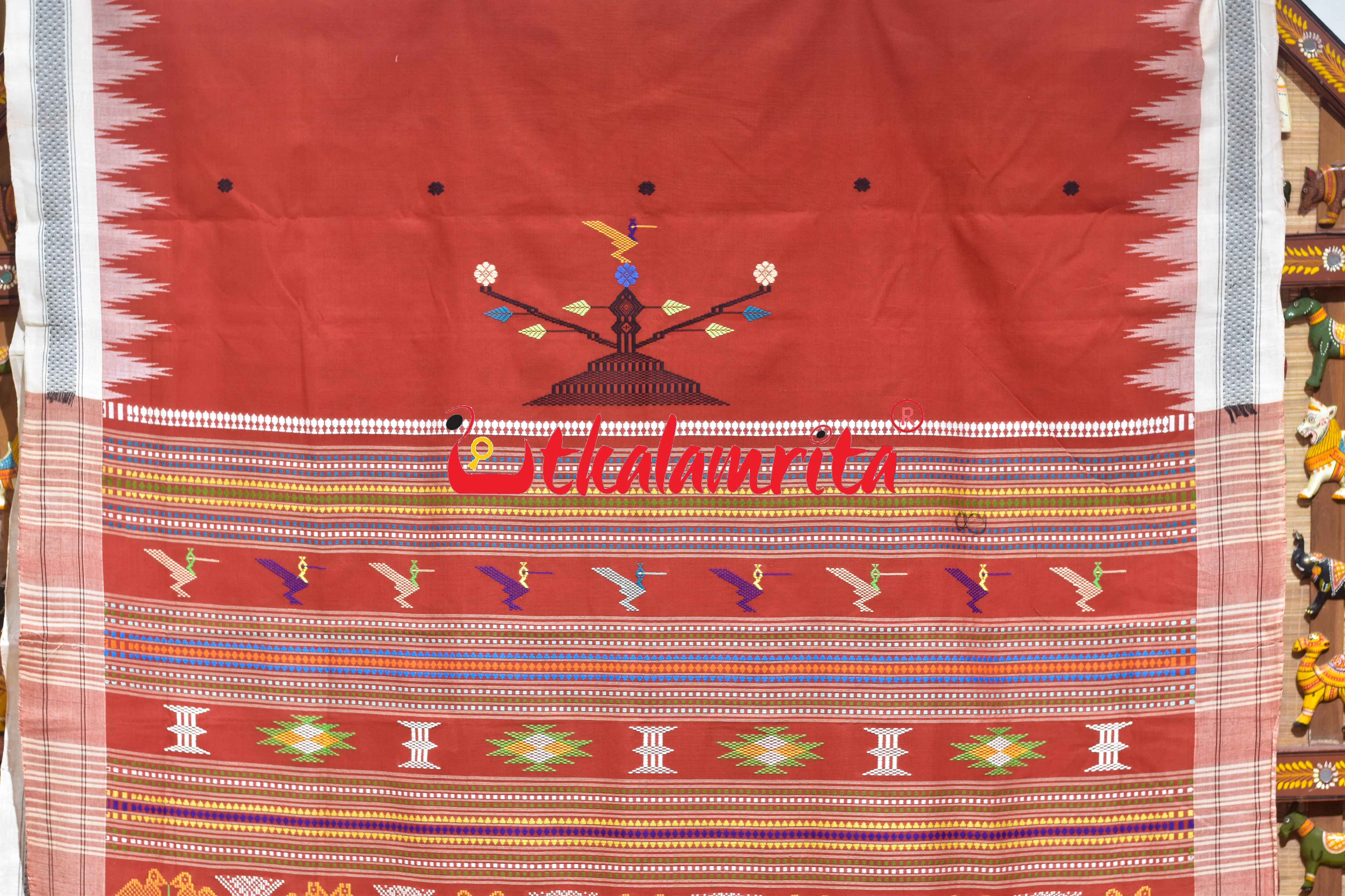 Rust White Border Ganjam Bomkai Cotton Saree