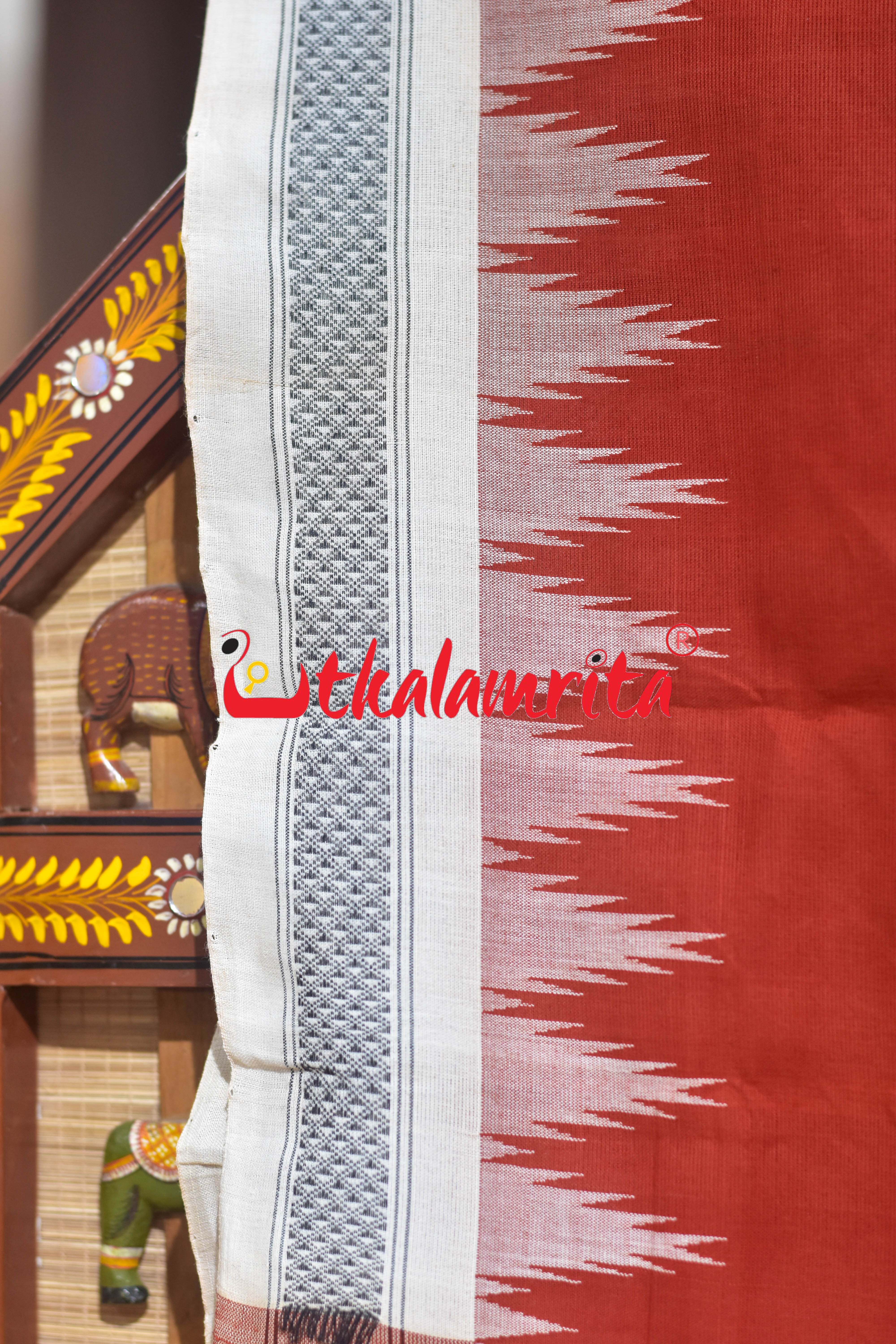 Rust White Border Ganjam Bomkai Cotton Saree