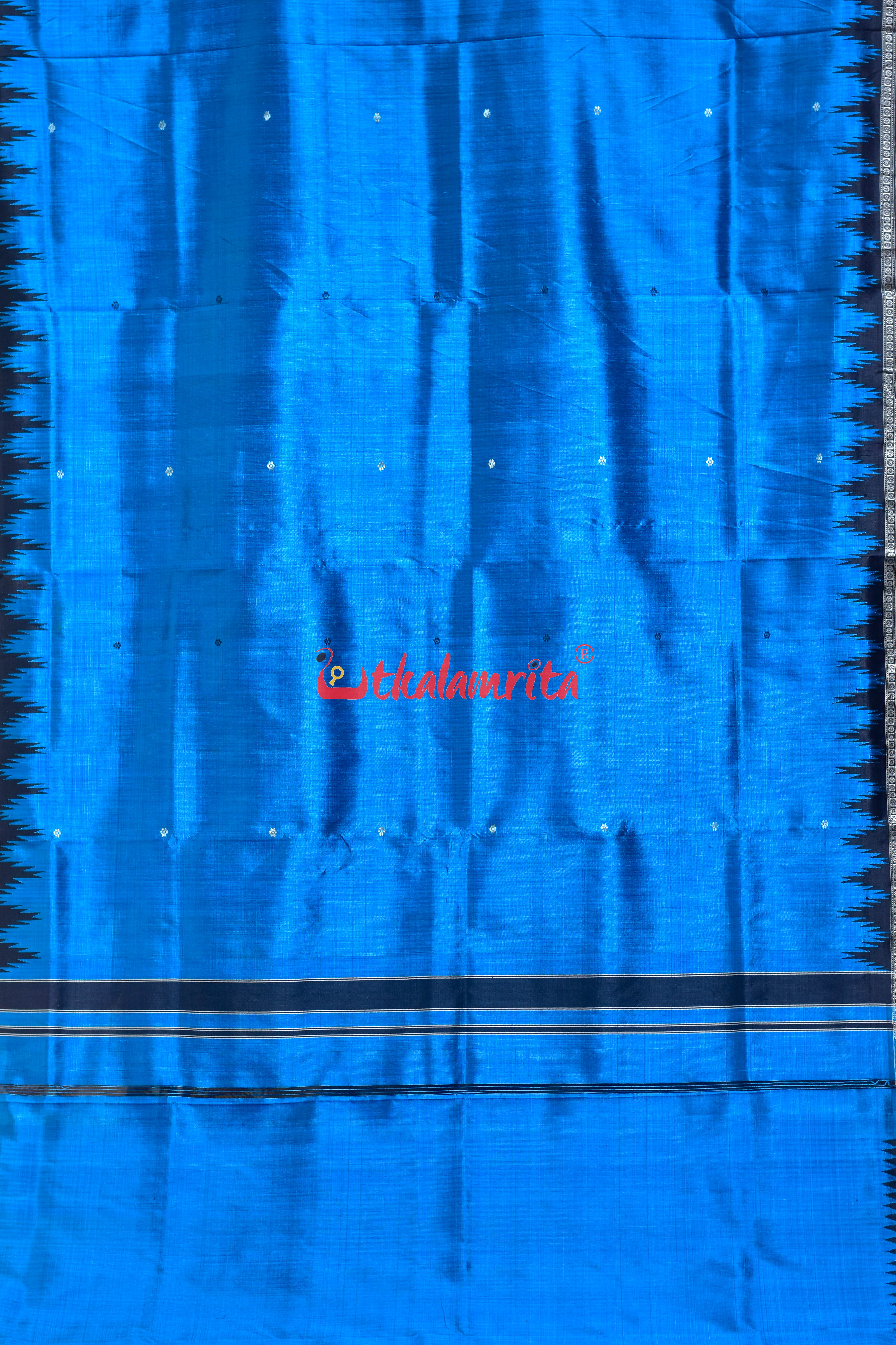 Copper Sulphate Black Double Anchal Berhampuri Silk Saree
