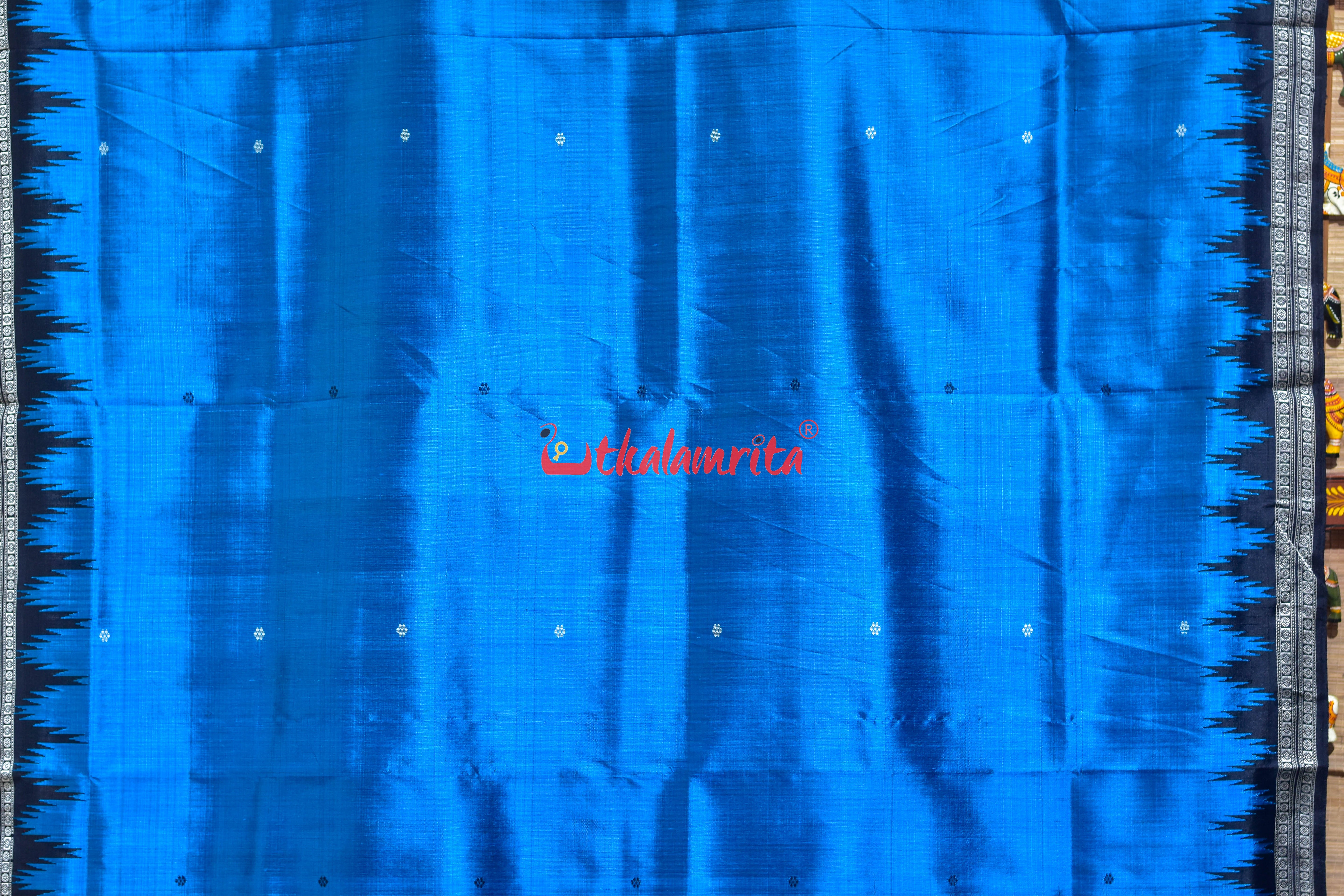 Copper Sulphate Black Double Anchal Berhampuri Silk Saree