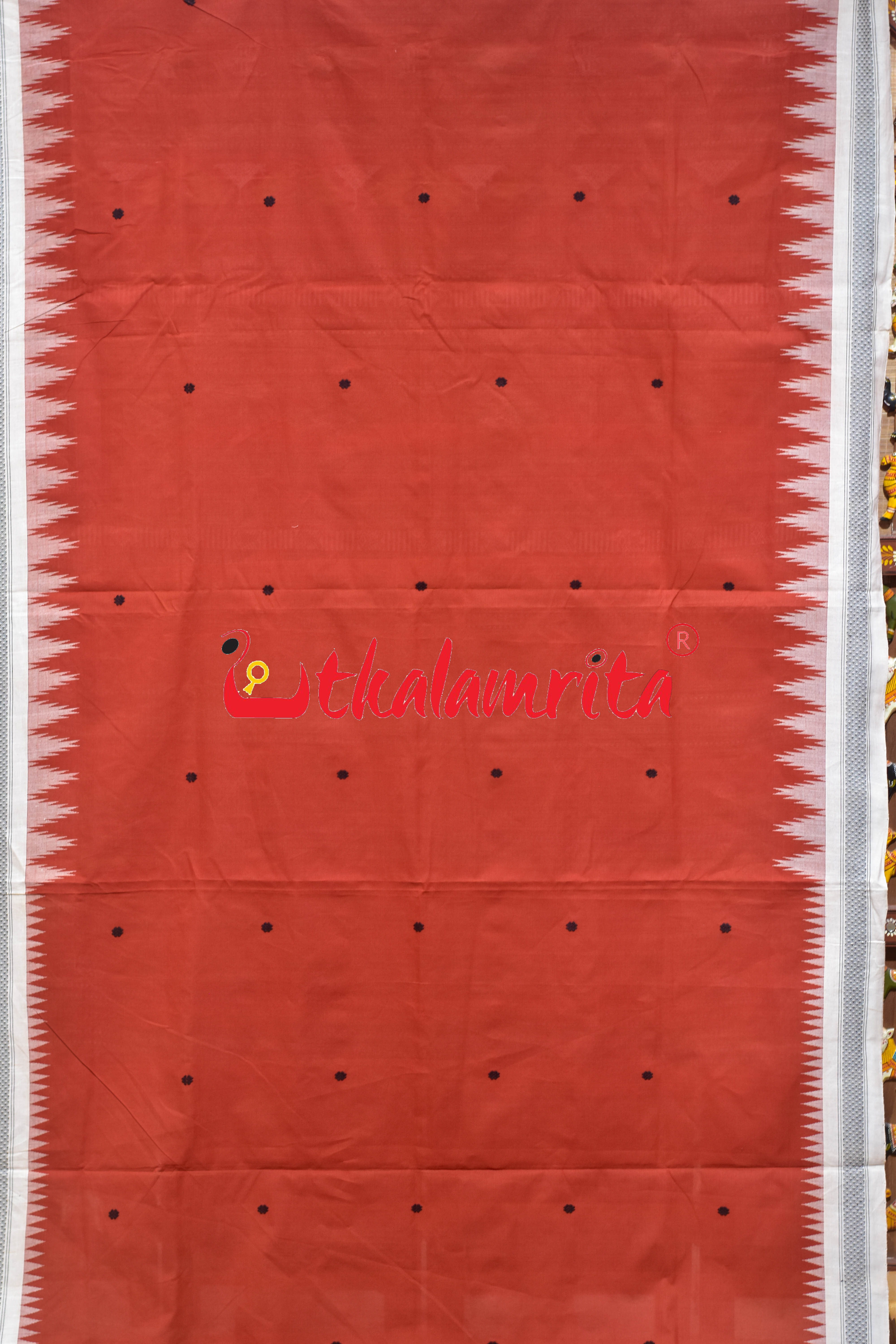 Rust White Border Ganjam Bomkai Cotton Saree