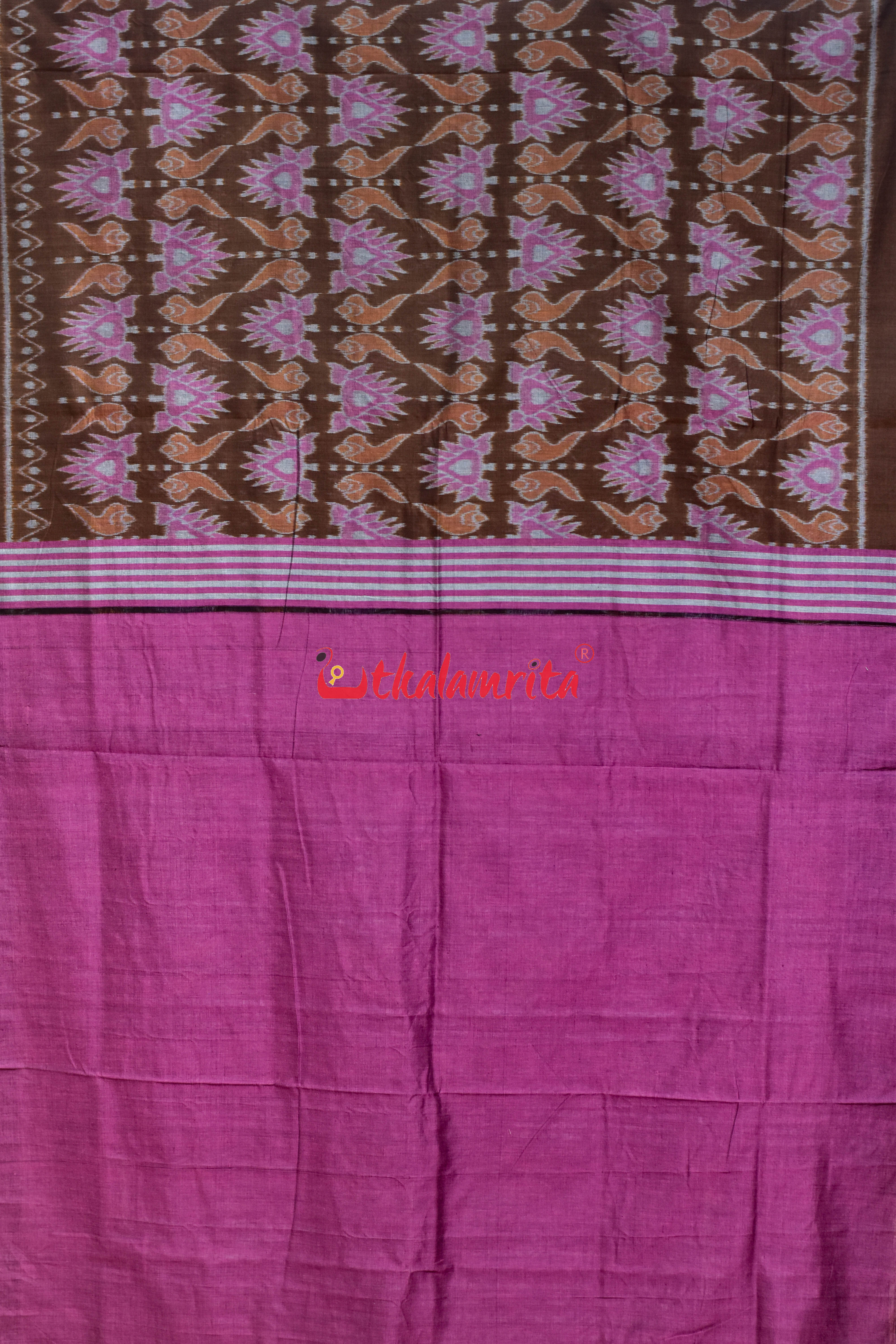 Coffee Jodi Sankha Khandua Cotton Saree