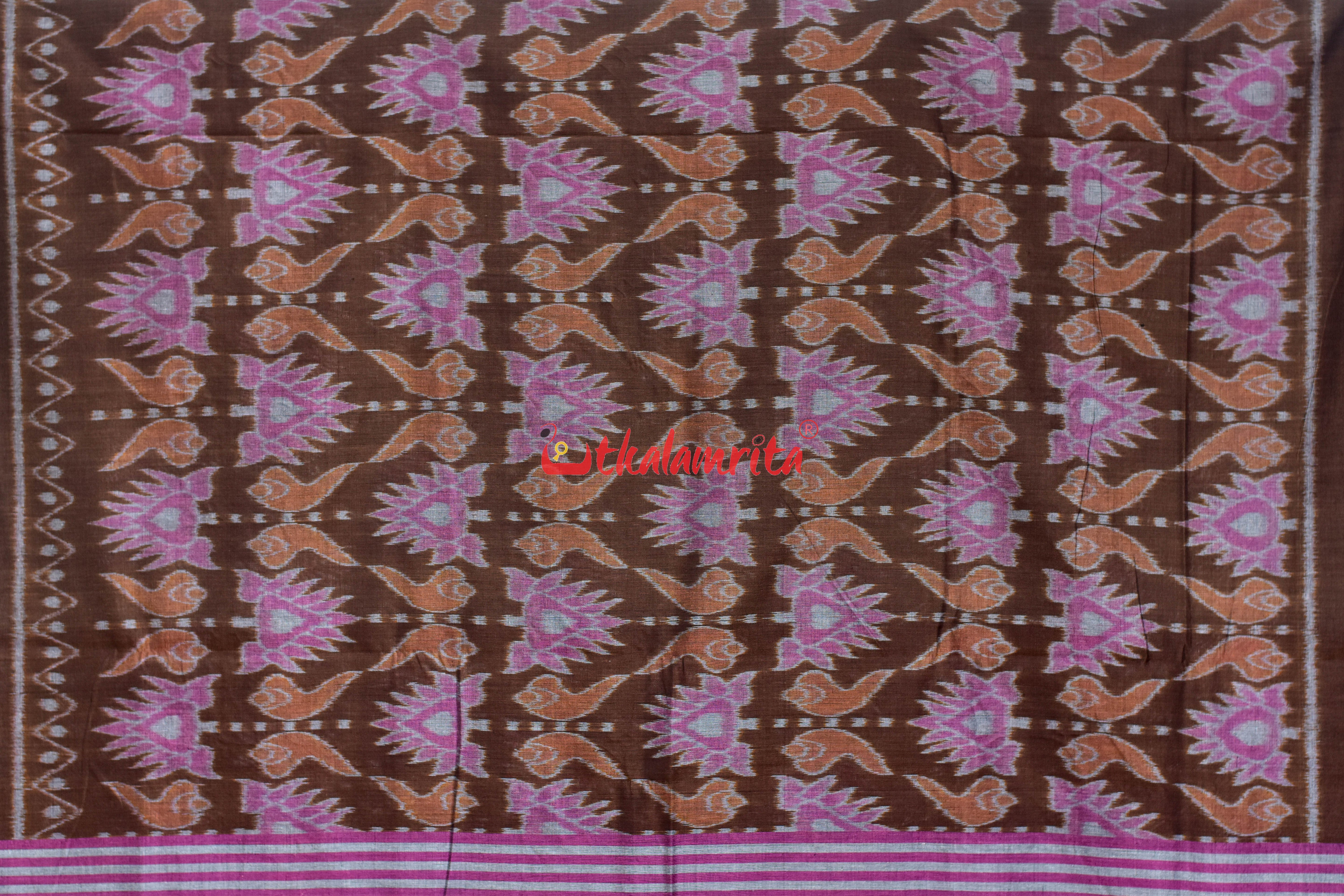 Coffee Jodi Sankha Khandua Cotton Saree