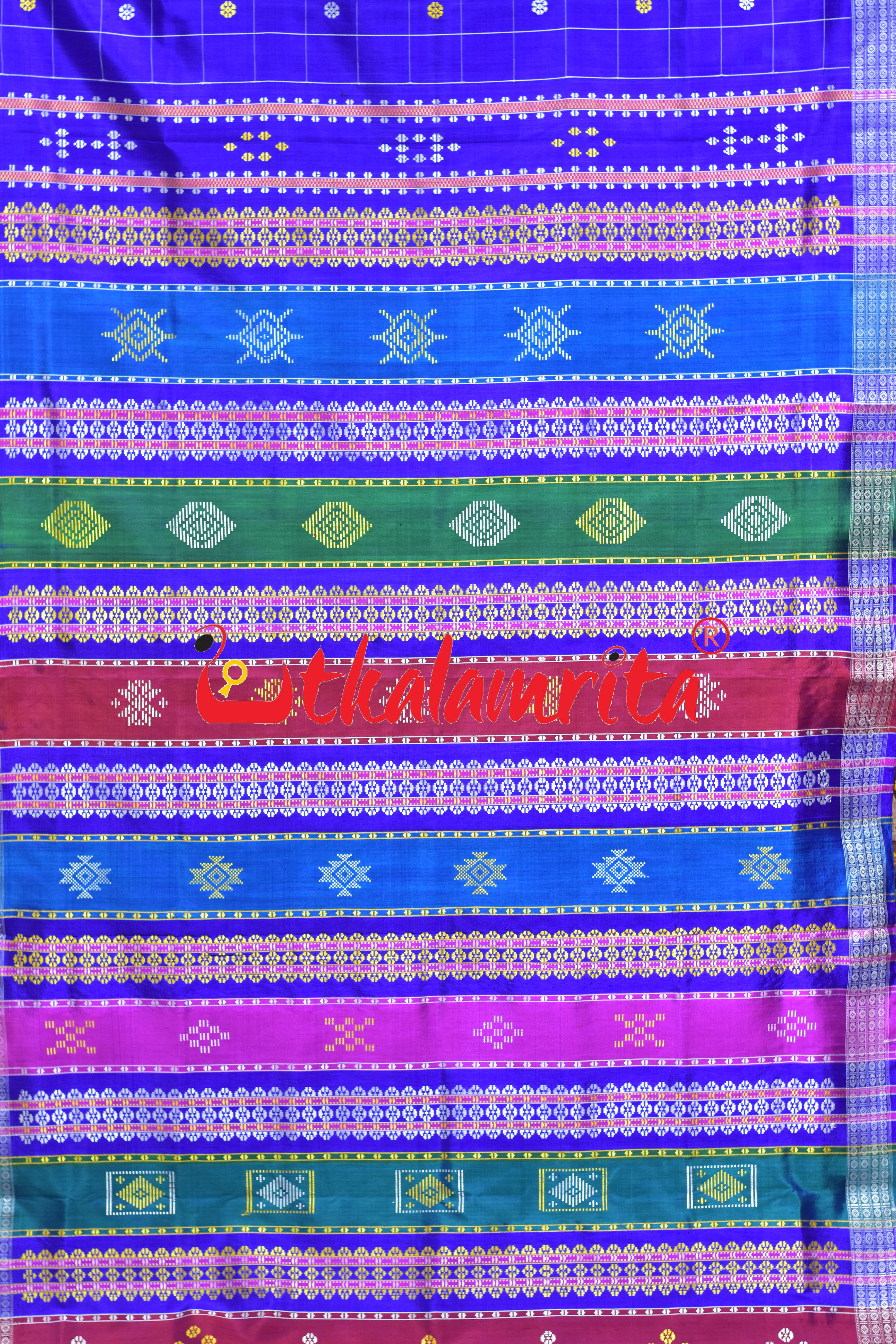Blue Body Checks Double Anchal Berhampuri Silk Saree