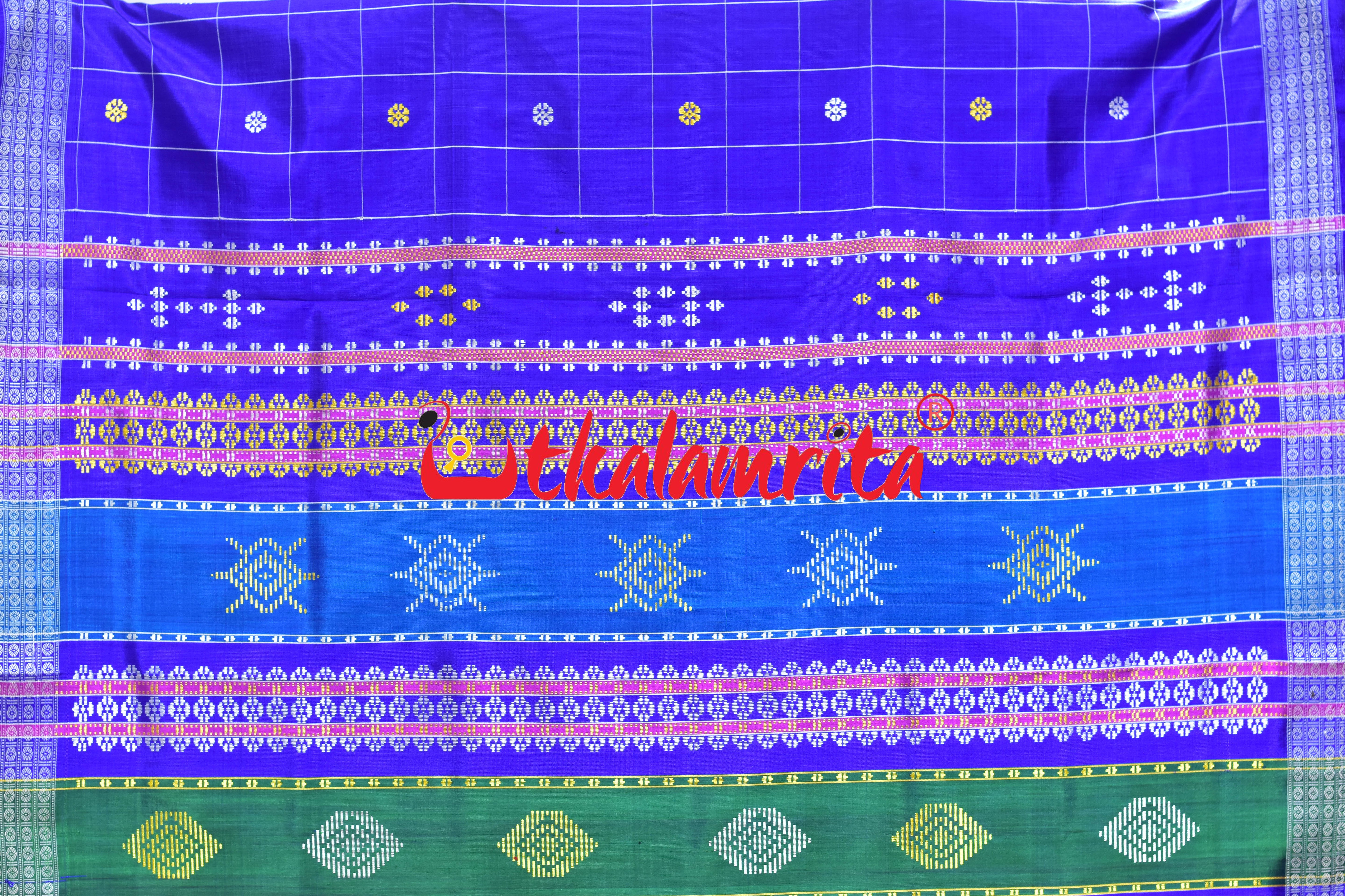 Blue Body Checks Double Anchal Berhampuri Silk Saree