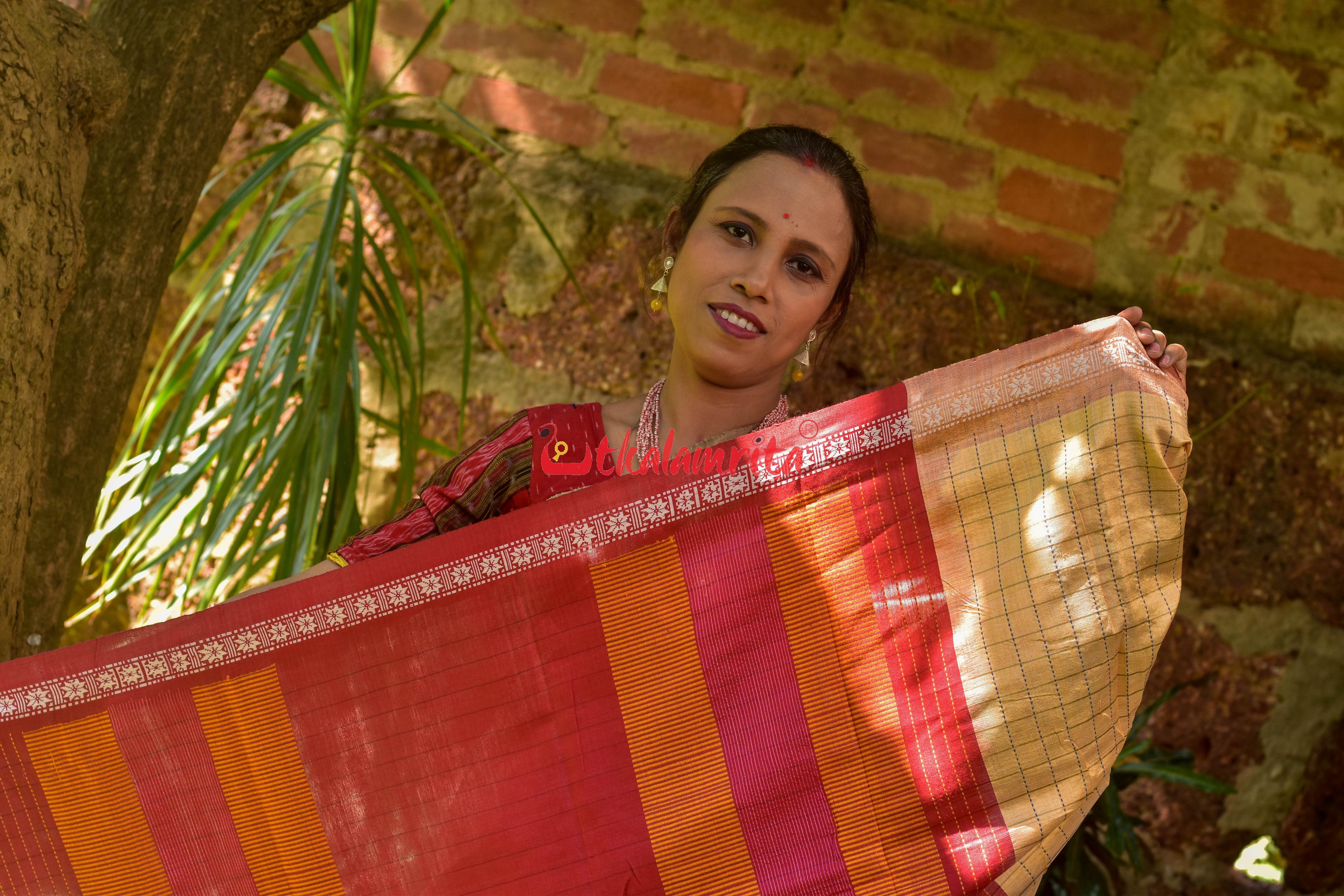 Orange Body Check And Anchal Stripes Tussar Saree