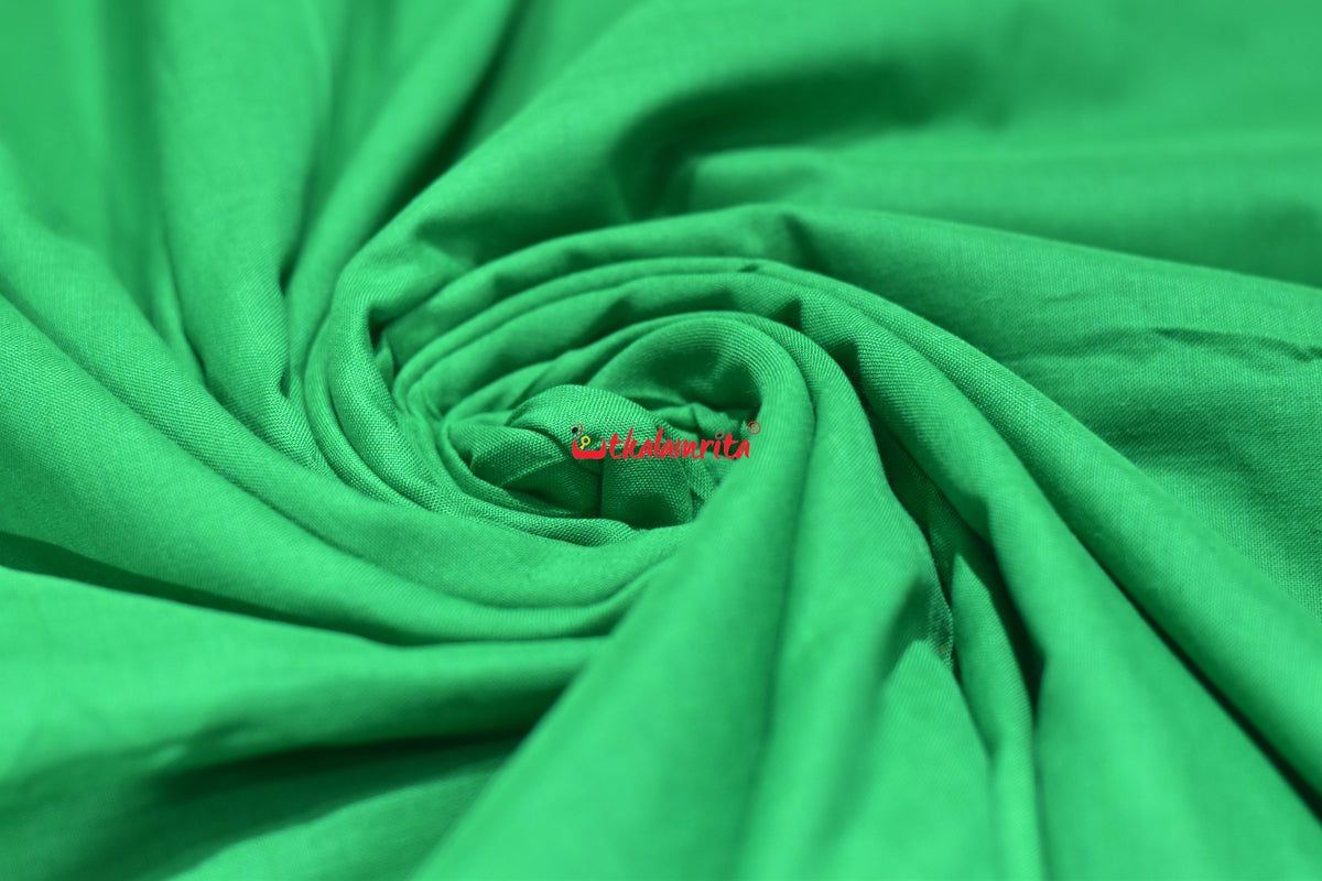 Light Green Blouse (Fabric)