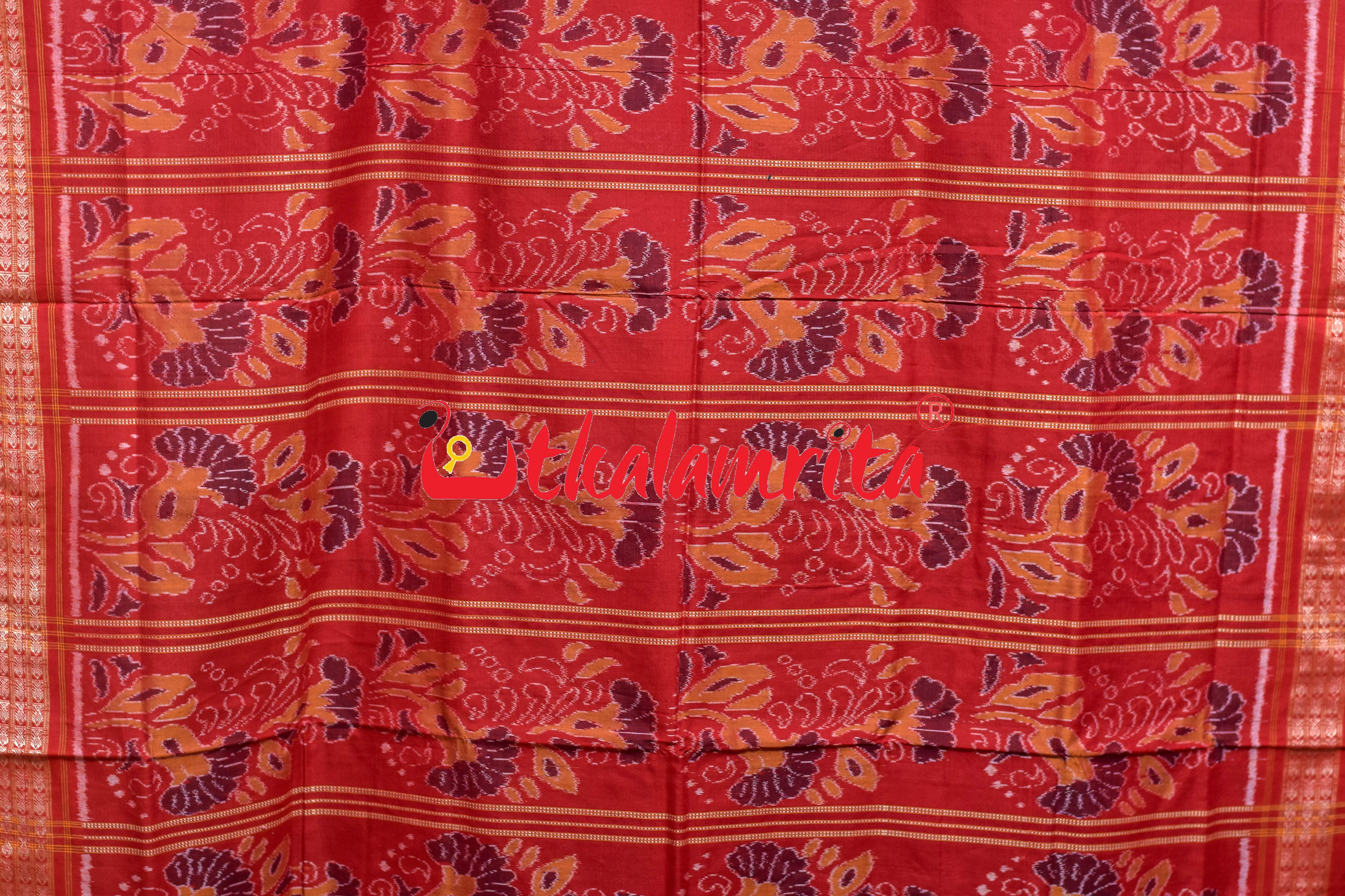 Black Maroon Kothi Laata Sambalpuri Cotton Saree