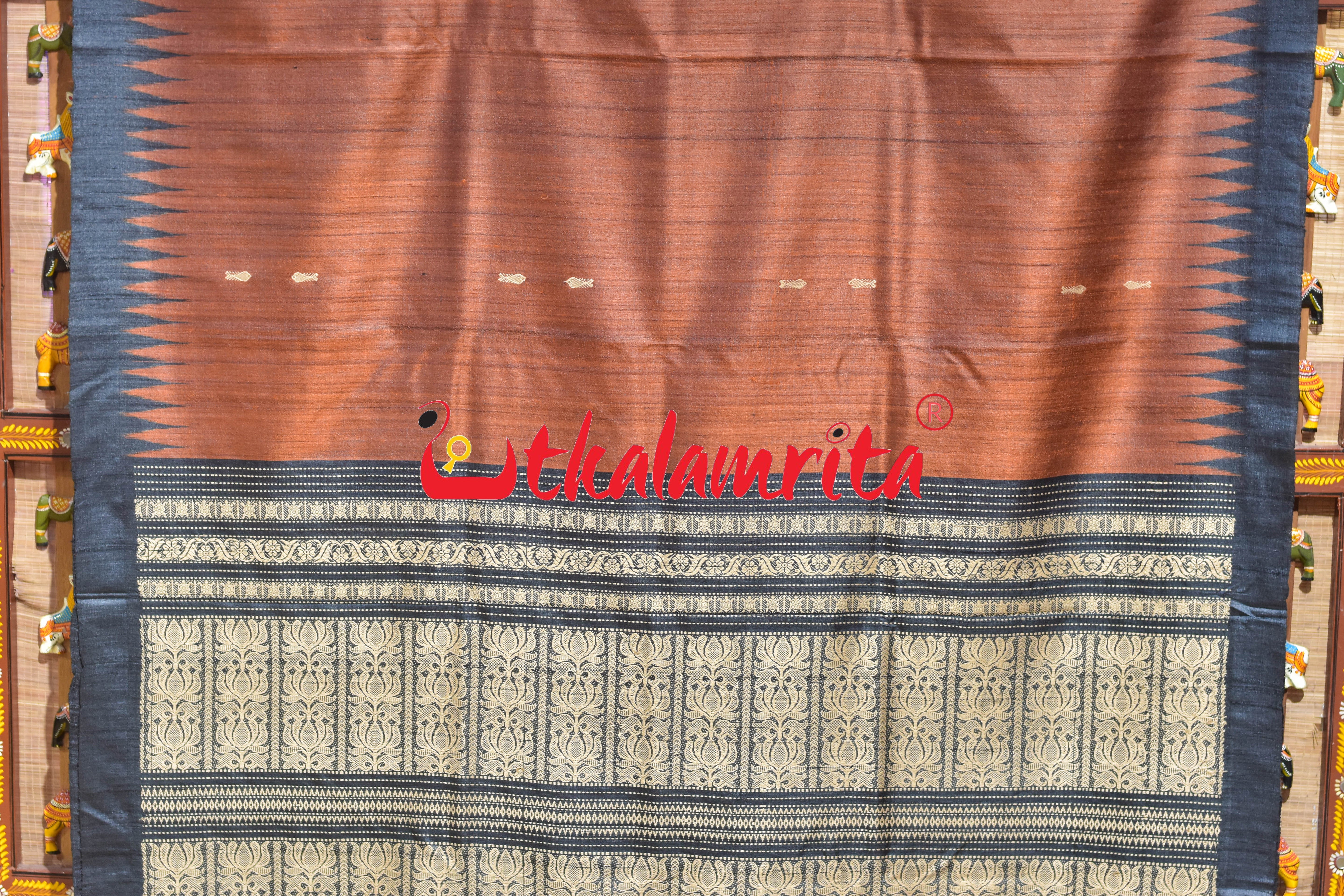 Rust Black Padma Jala Anchal Gopalpur Tussar Silk Saree