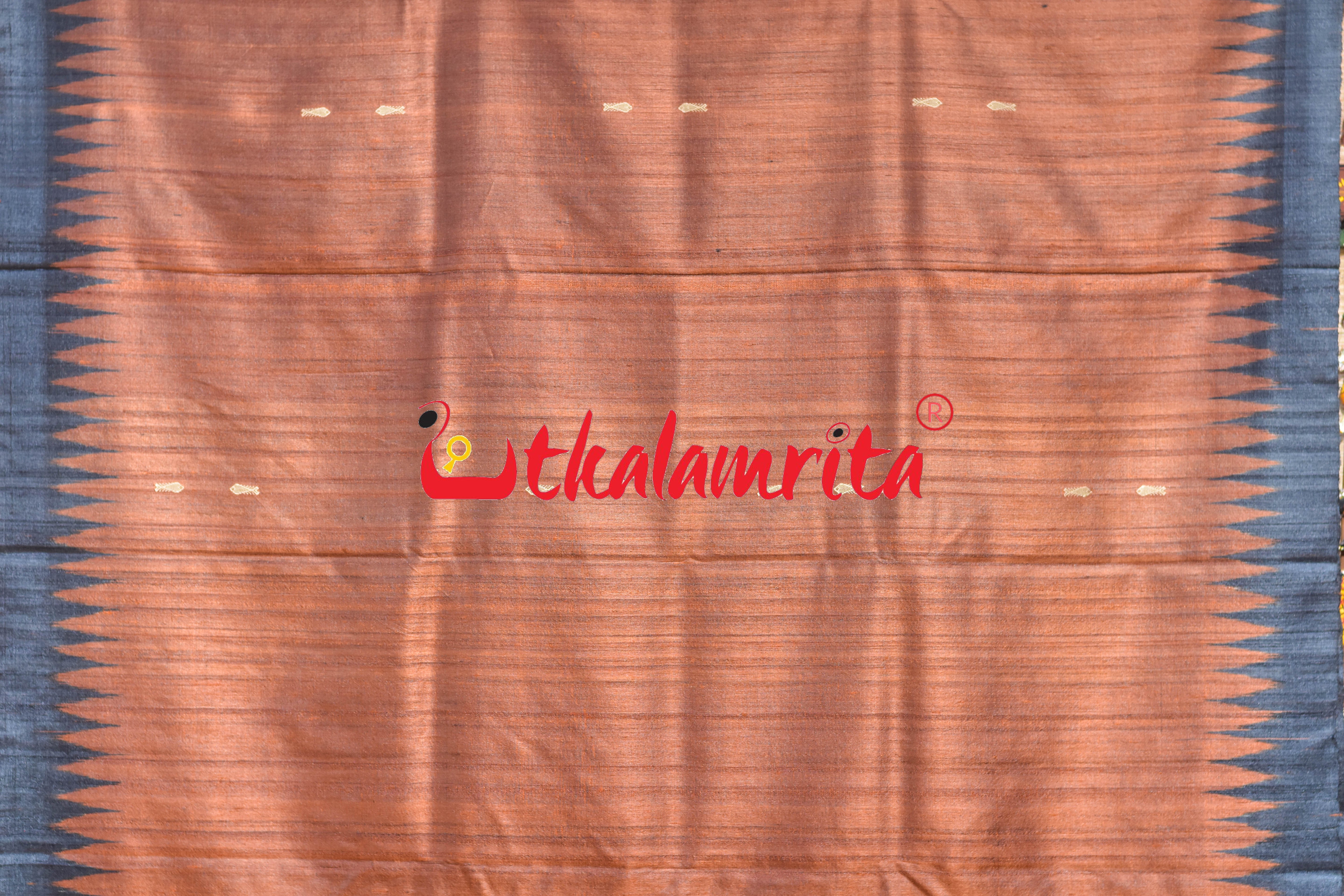 Rust Black Padma Jala Anchal Gopalpur Tussar Silk Saree