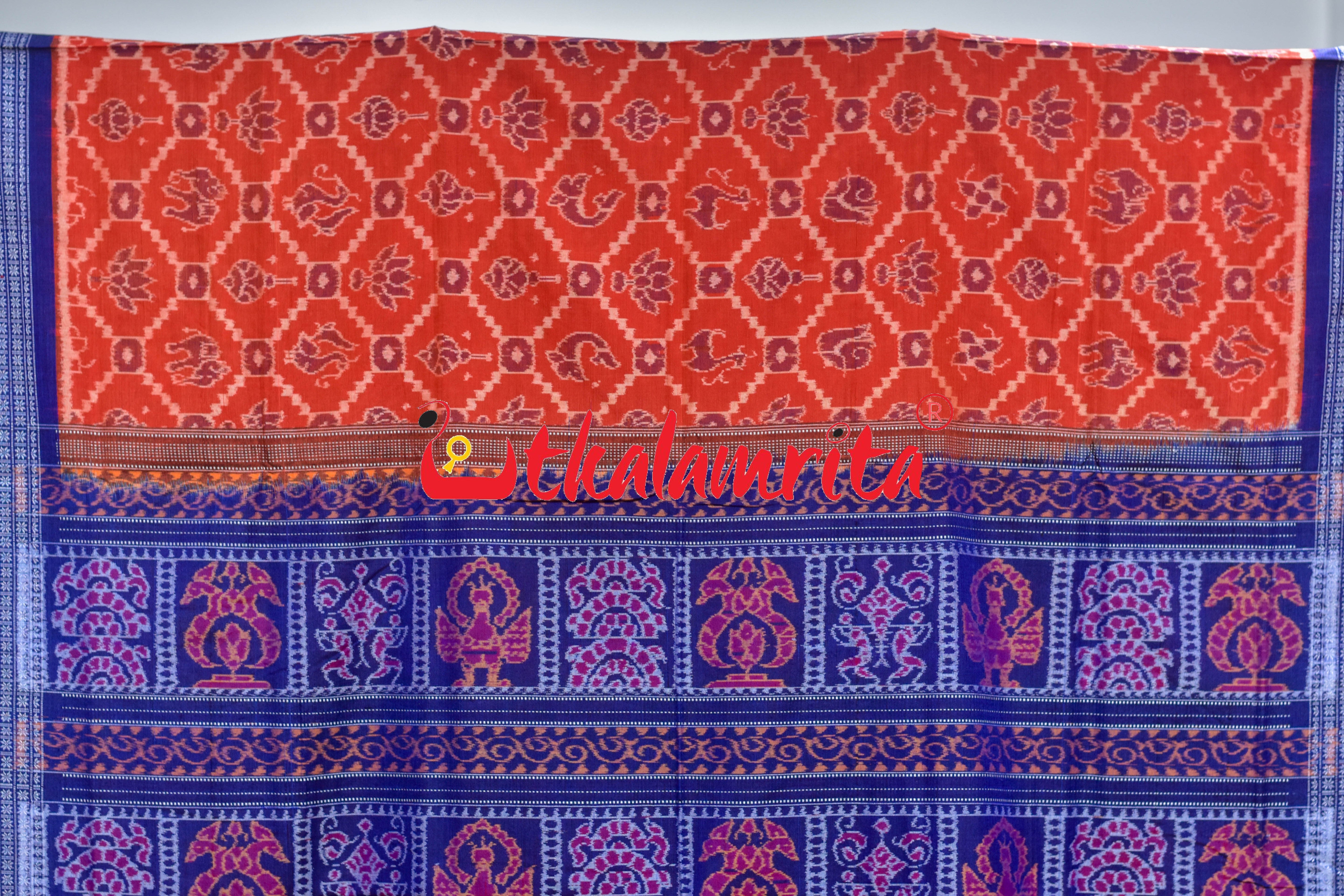 Sankha Padma Rust Blue Sambalpuri Cotton Saree