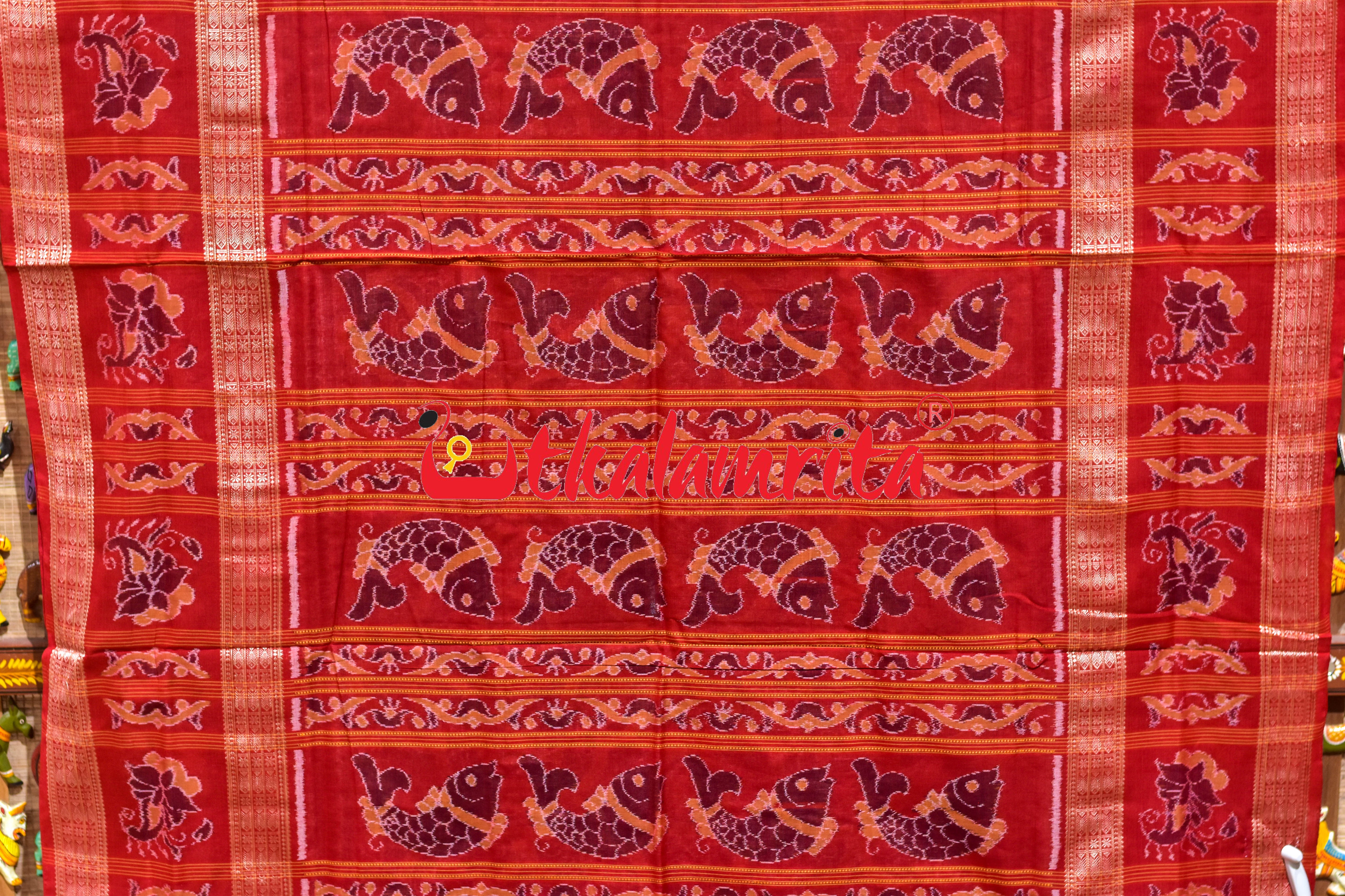 Grey Red Phula Jhoti Sambalpuri Cotton Saree