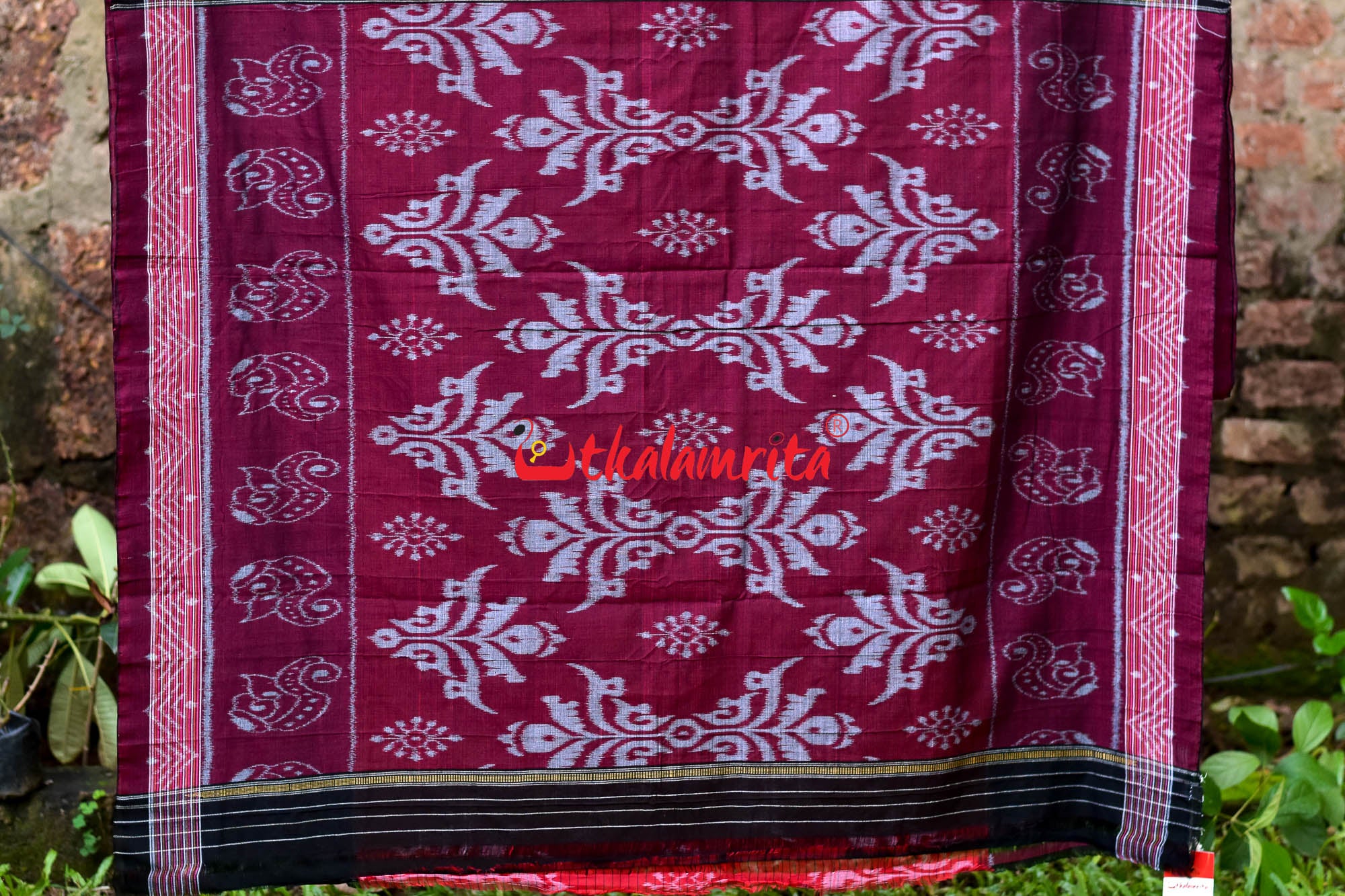 Red Maroon Sankha Khandua Cotton Saree