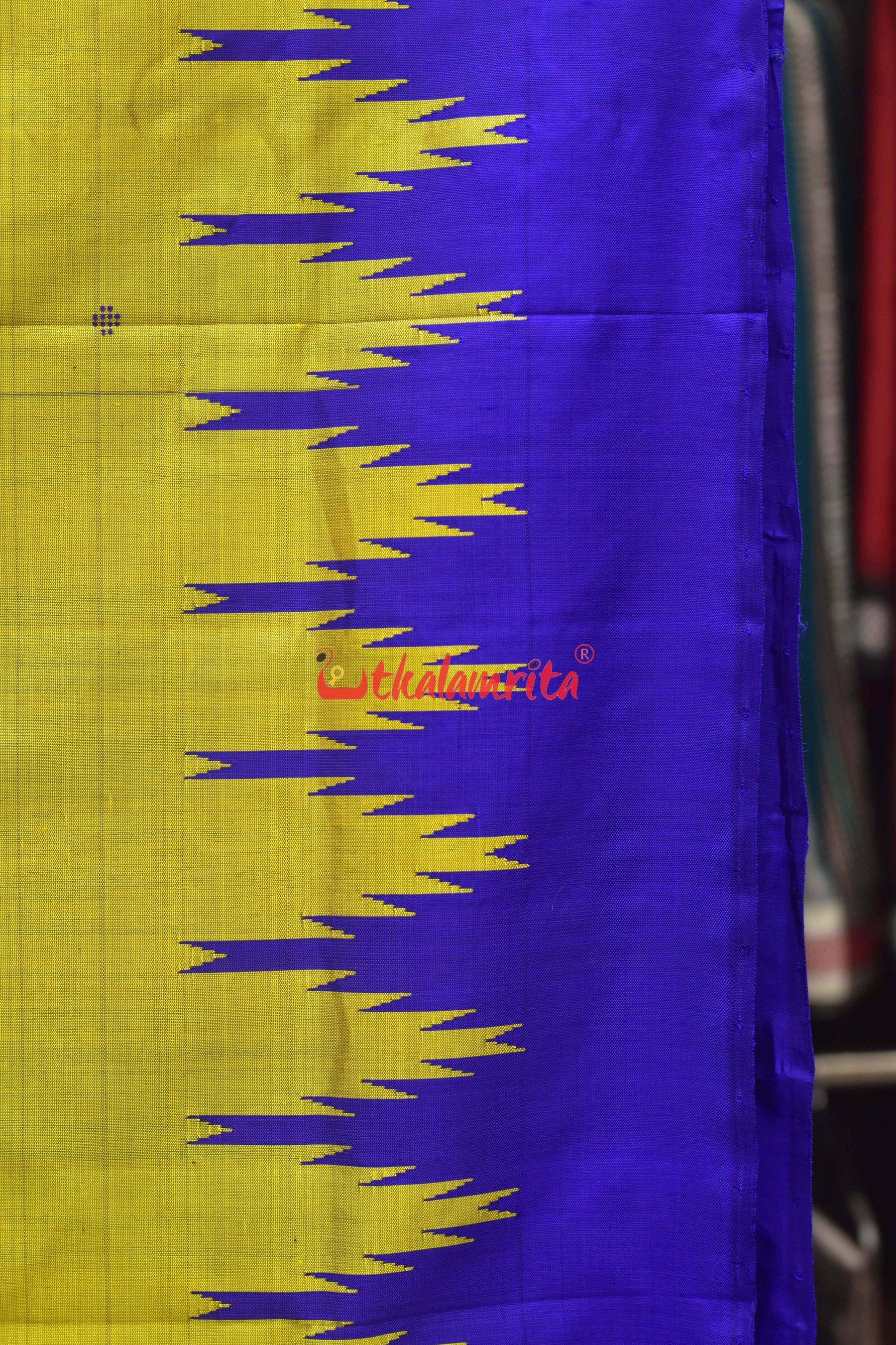 Goldenrod Fish Ducks Double Anchal Berhampuri Silk Saree