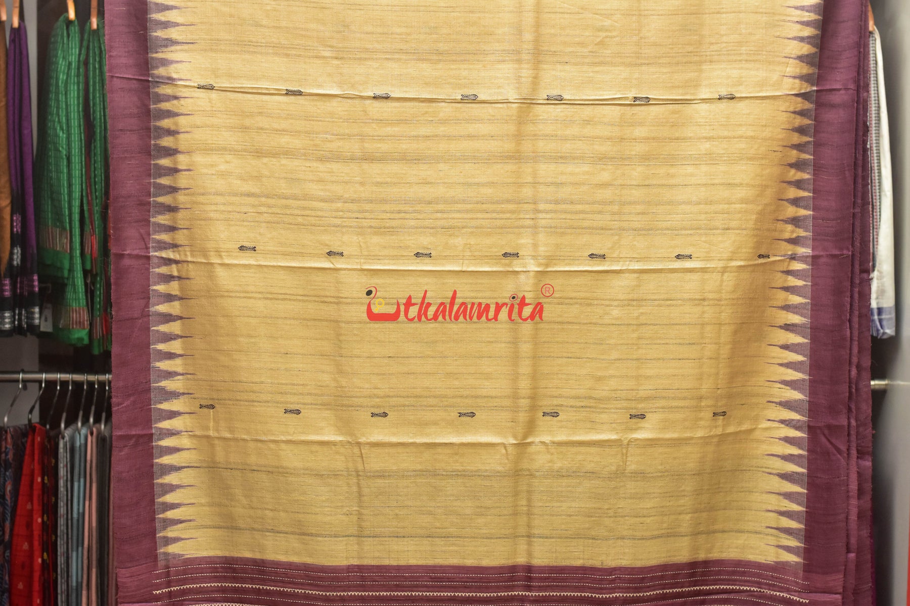 Fish Beige Coffee Jaala Work Tussar Saree