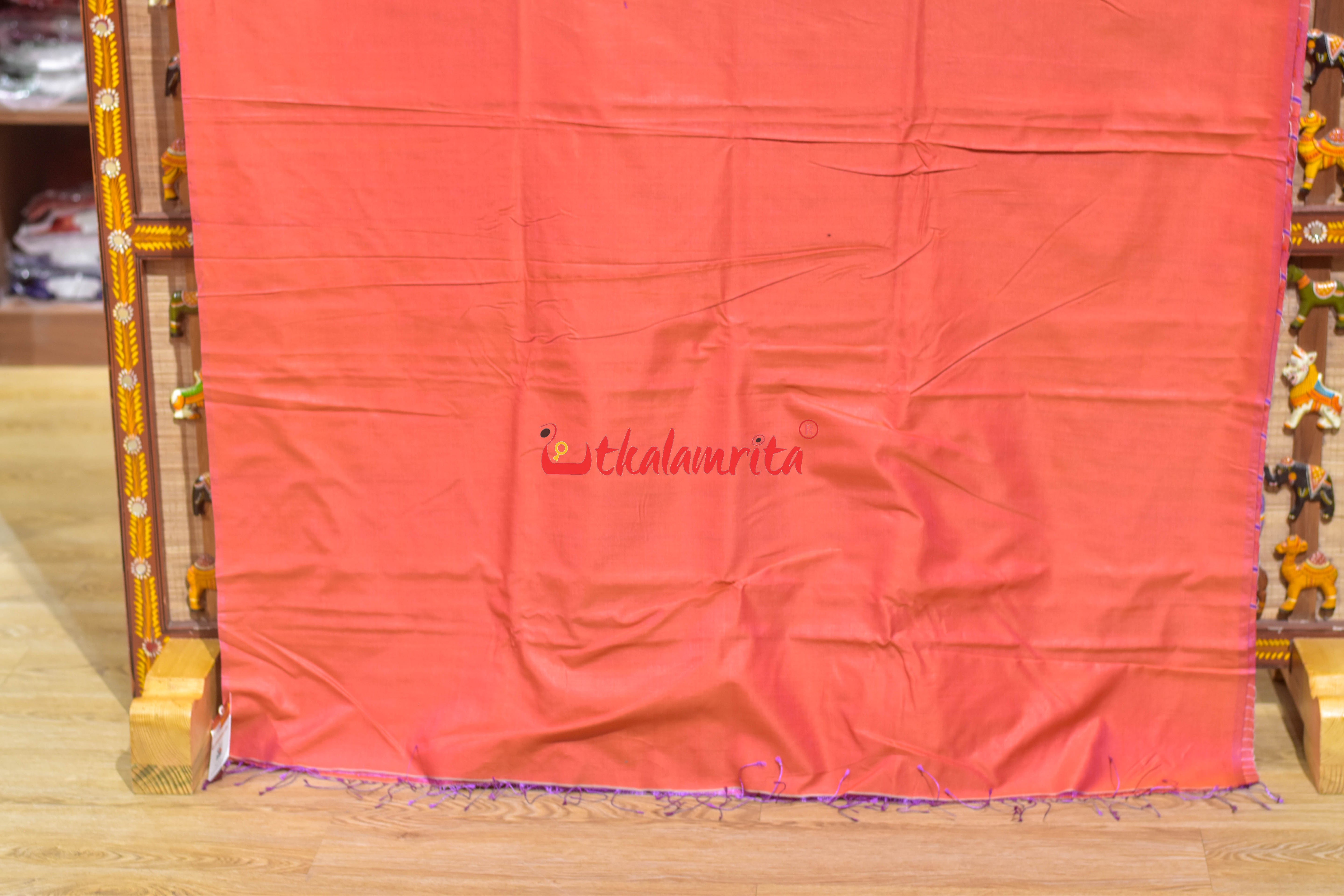 Rani Jhoti Chita Eri Gopalpur Tussar Silk Saree