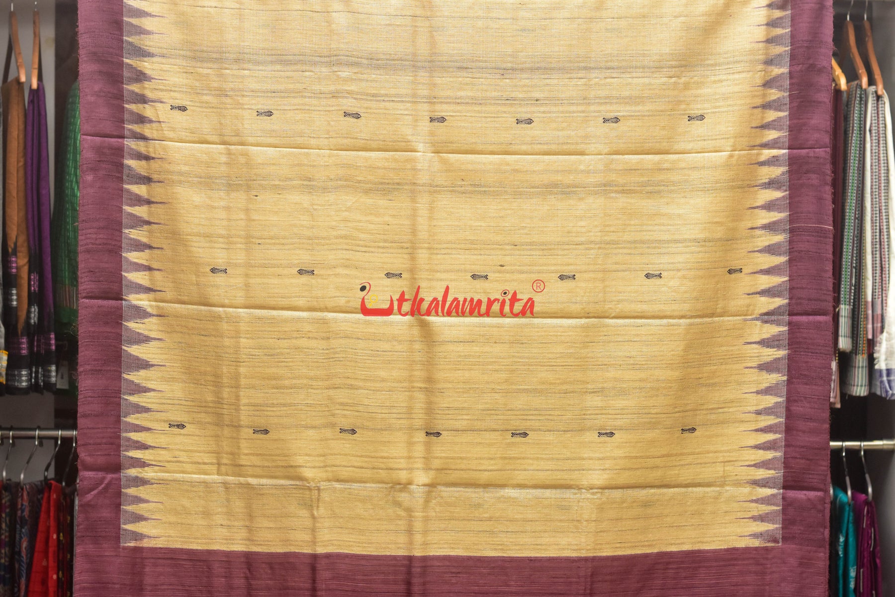 Fish Beige Coffee Jaala Work Tussar Saree
