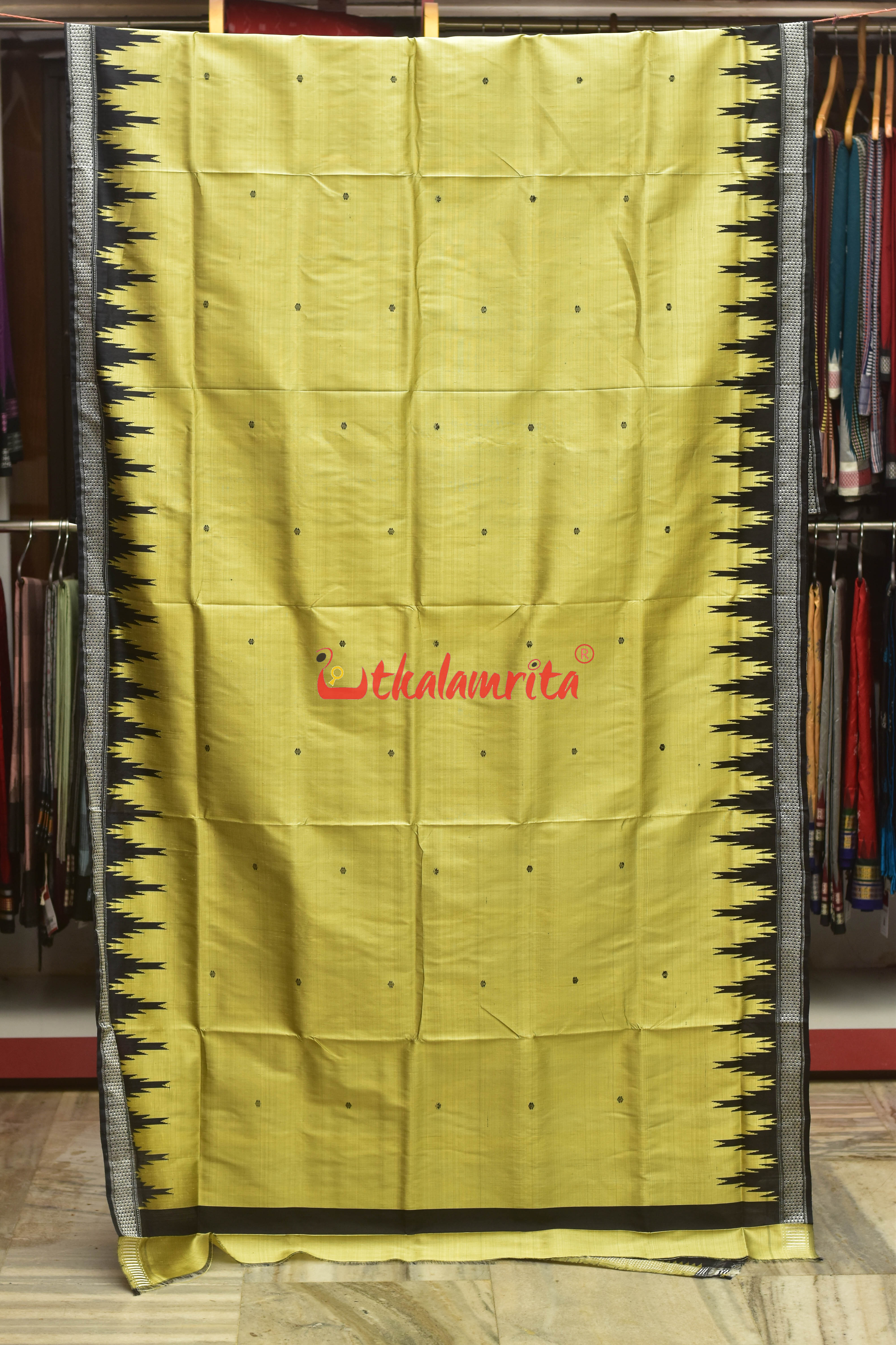 Golden Ivory Double Anchal Berhampuri Silk Saree