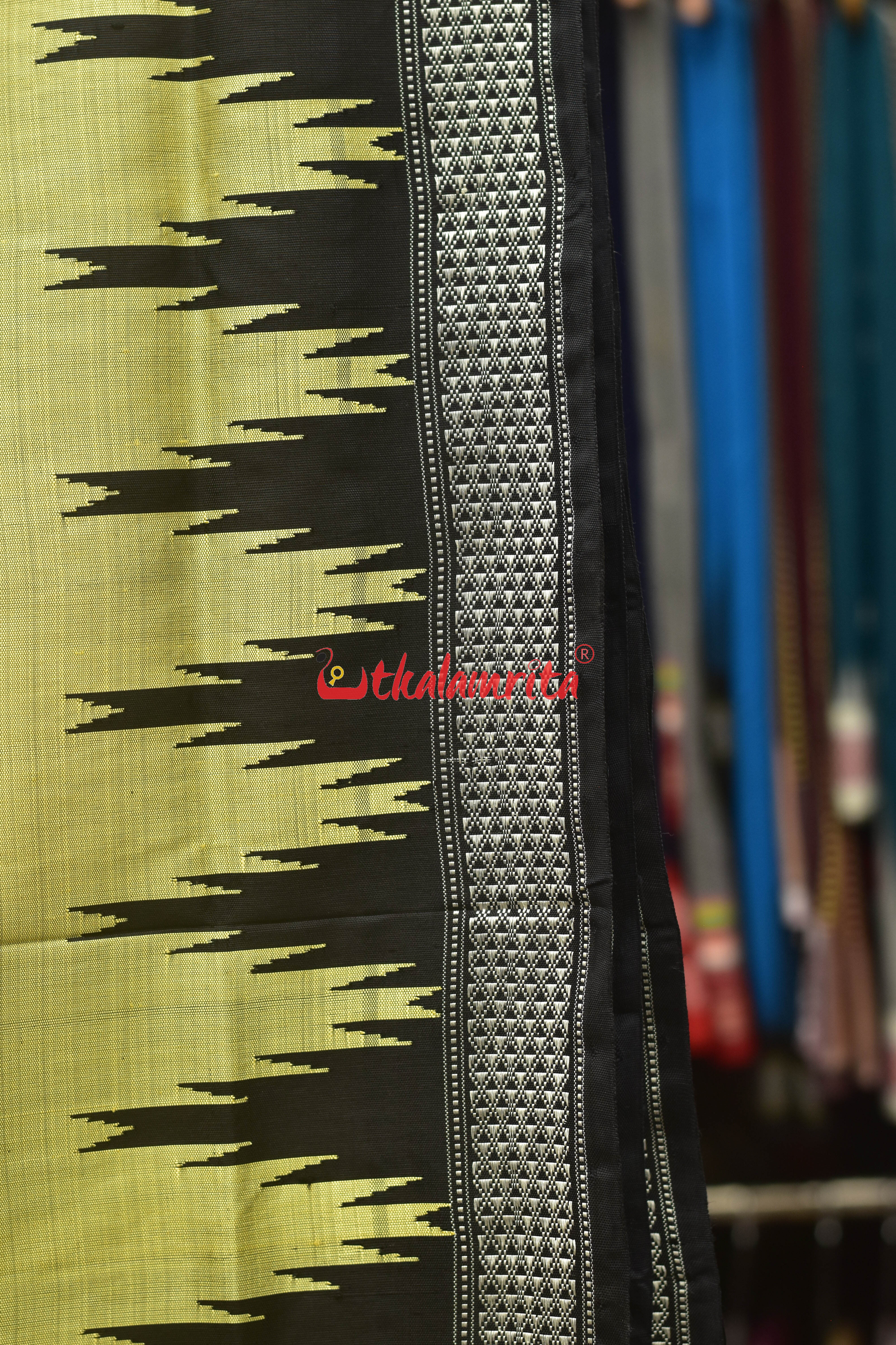 Golden Ivory Double Anchal Berhampuri Silk Saree