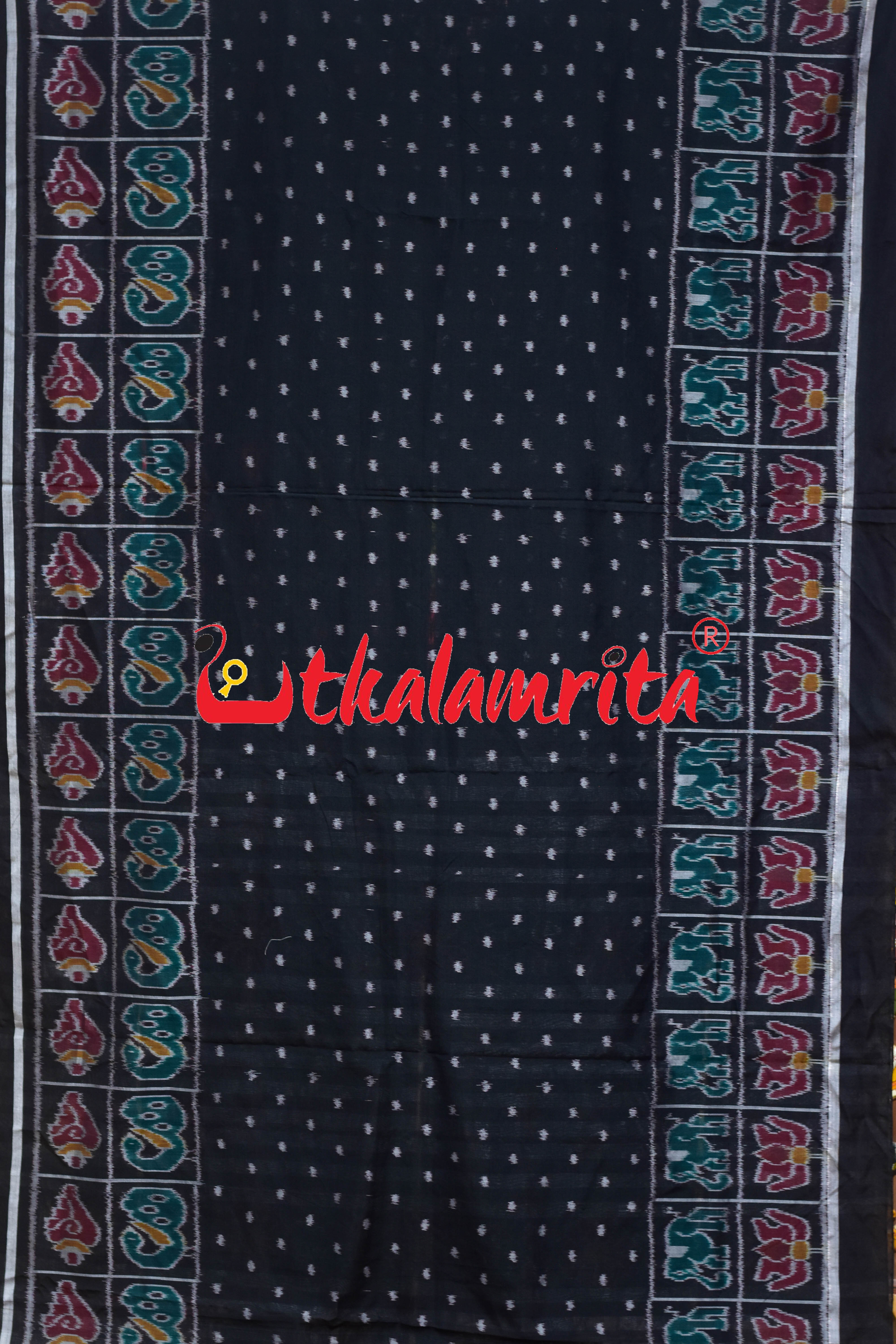 Black Dotted Body Nabarangi Style Borders Khandua Cotton Saree