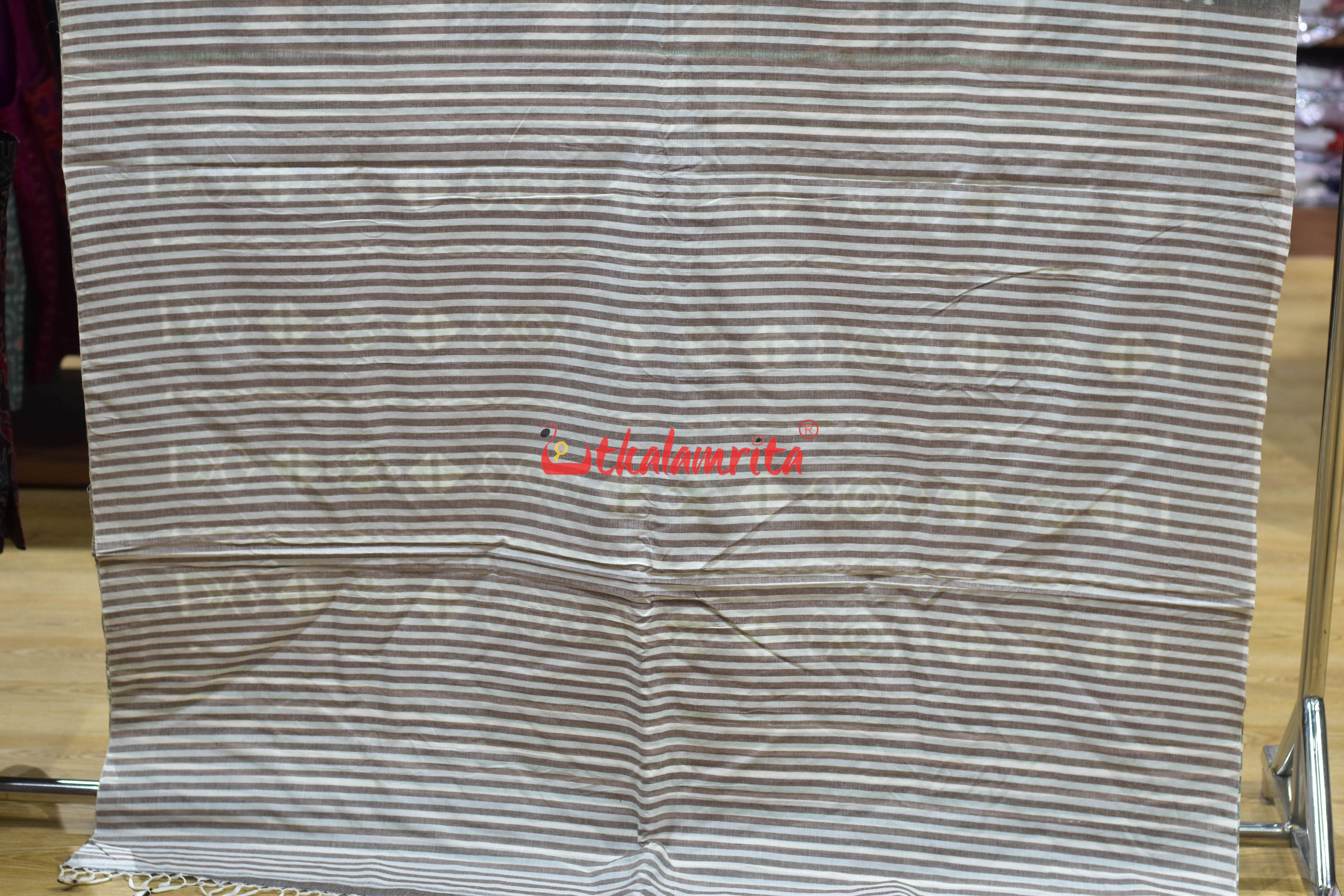 Contemporary Pataka Khandua Cotton Saree