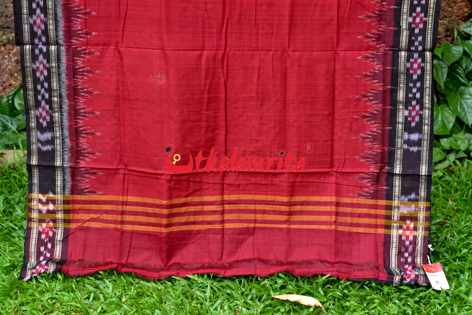 Vigour of Singhabahini